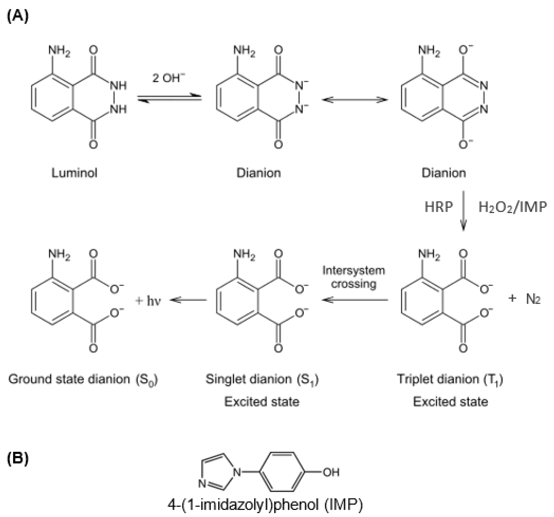 Chemosensors 11 00245 g002