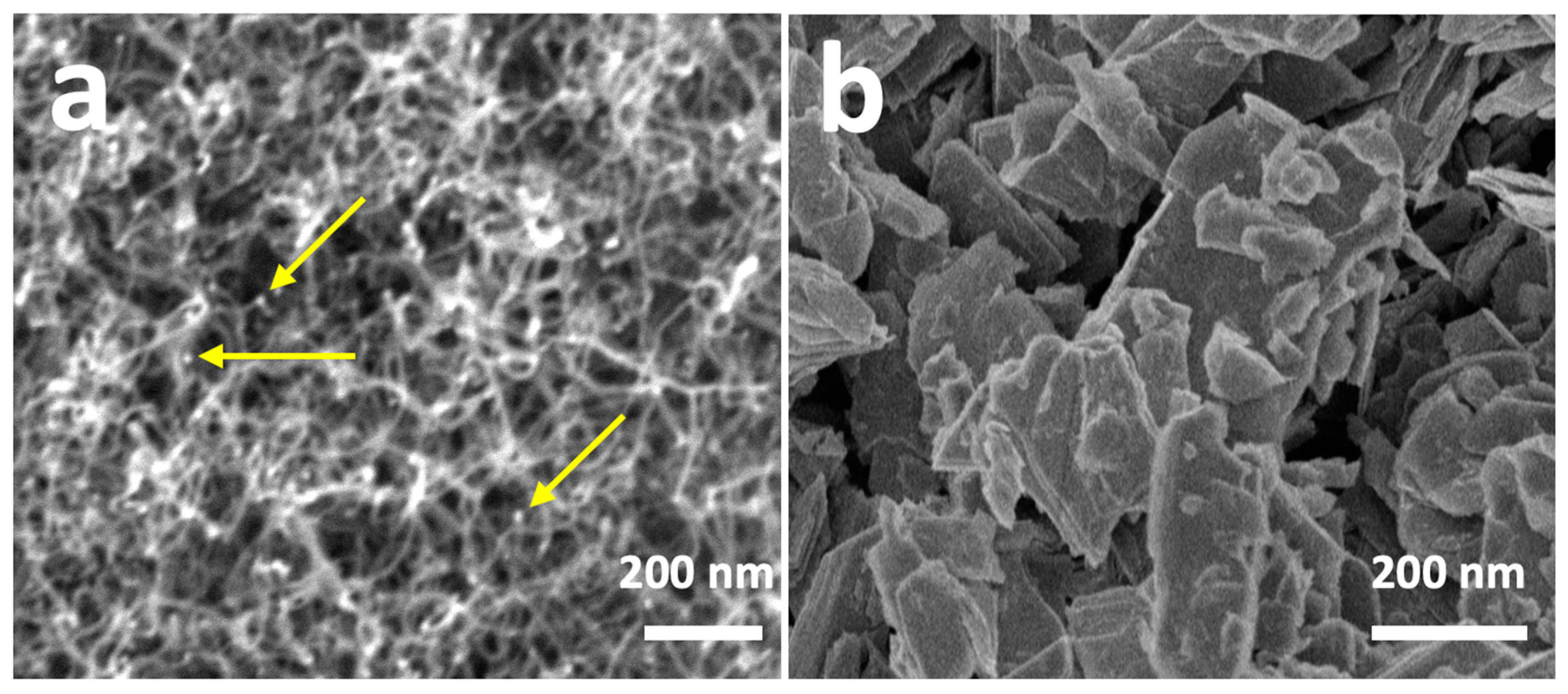 Chemosensors 11 00247 g003 Chemosensors 11 00247 g003
