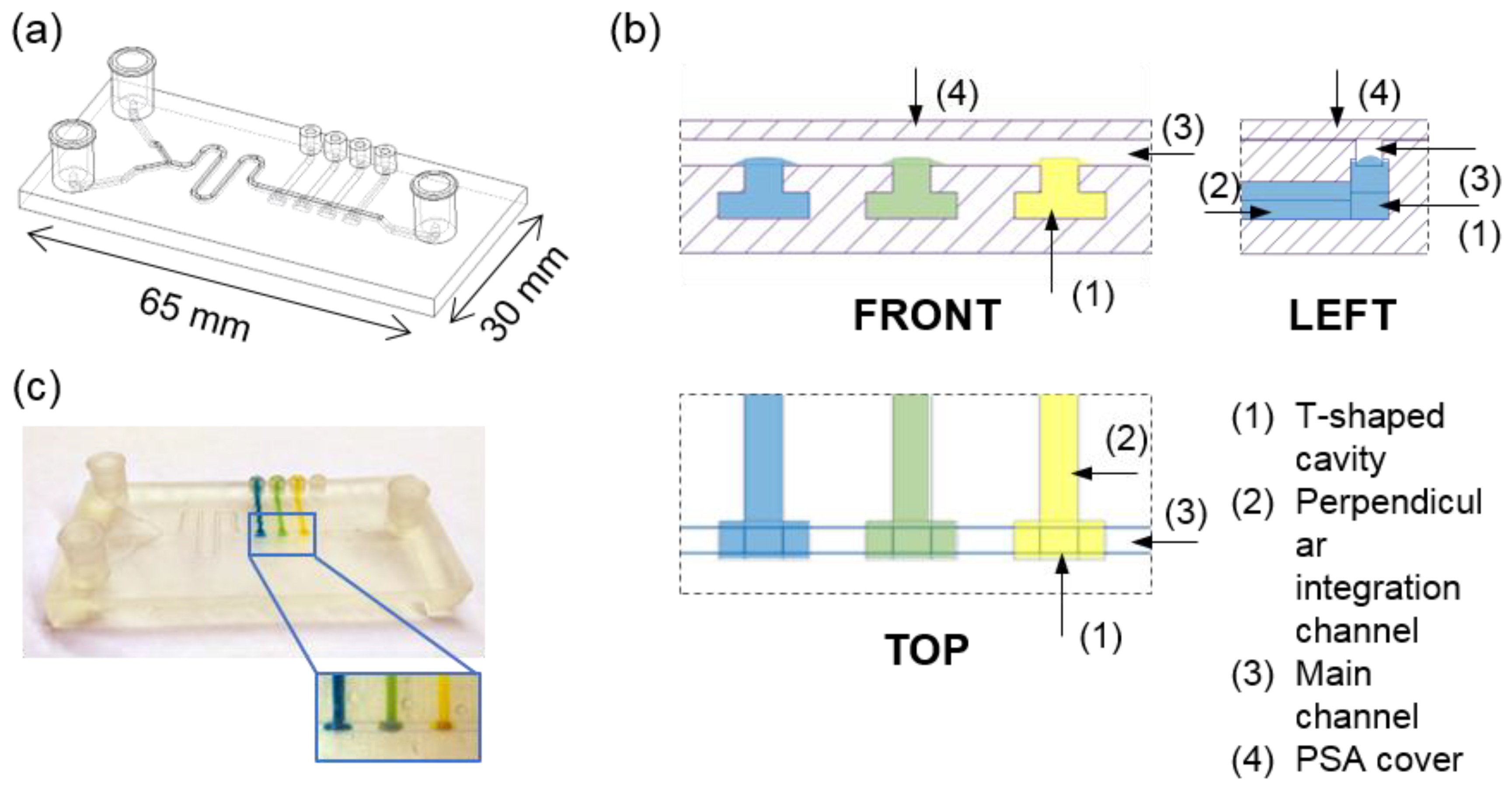 Chemosensors 11 00253 g001