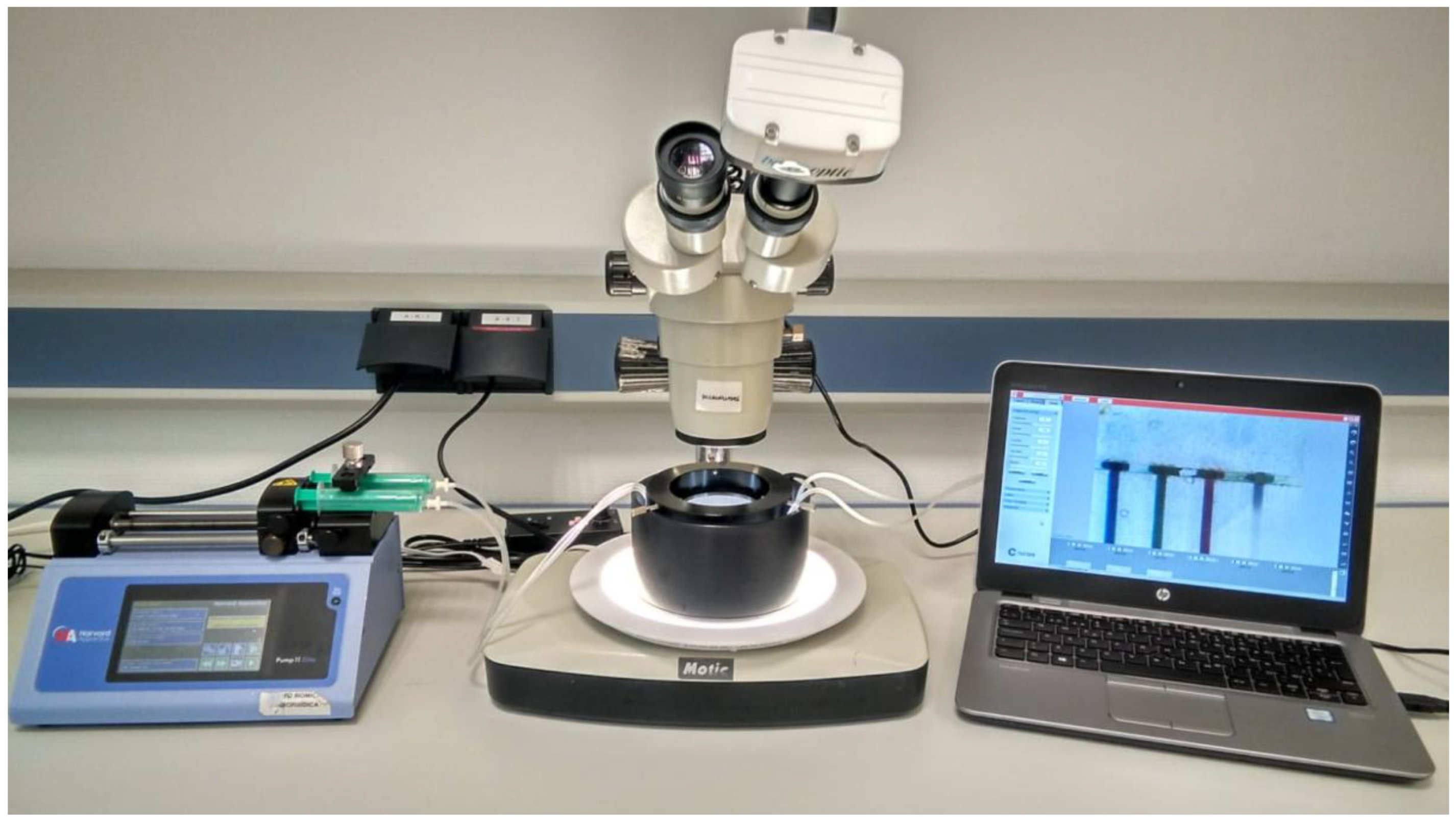 Chemosensors 11 00253 g002