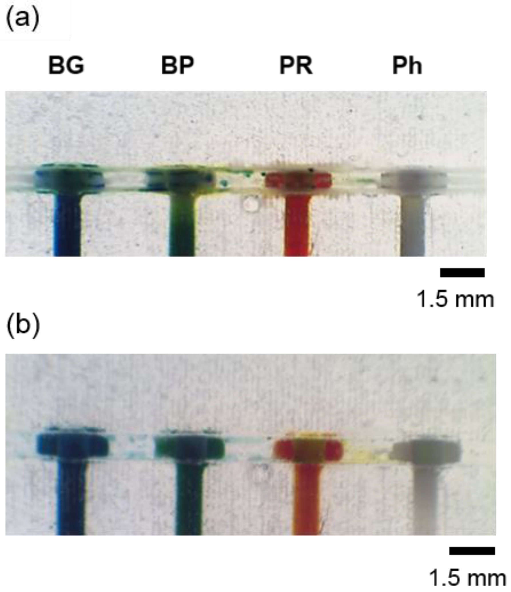 Chemosensors 11 00253 g005