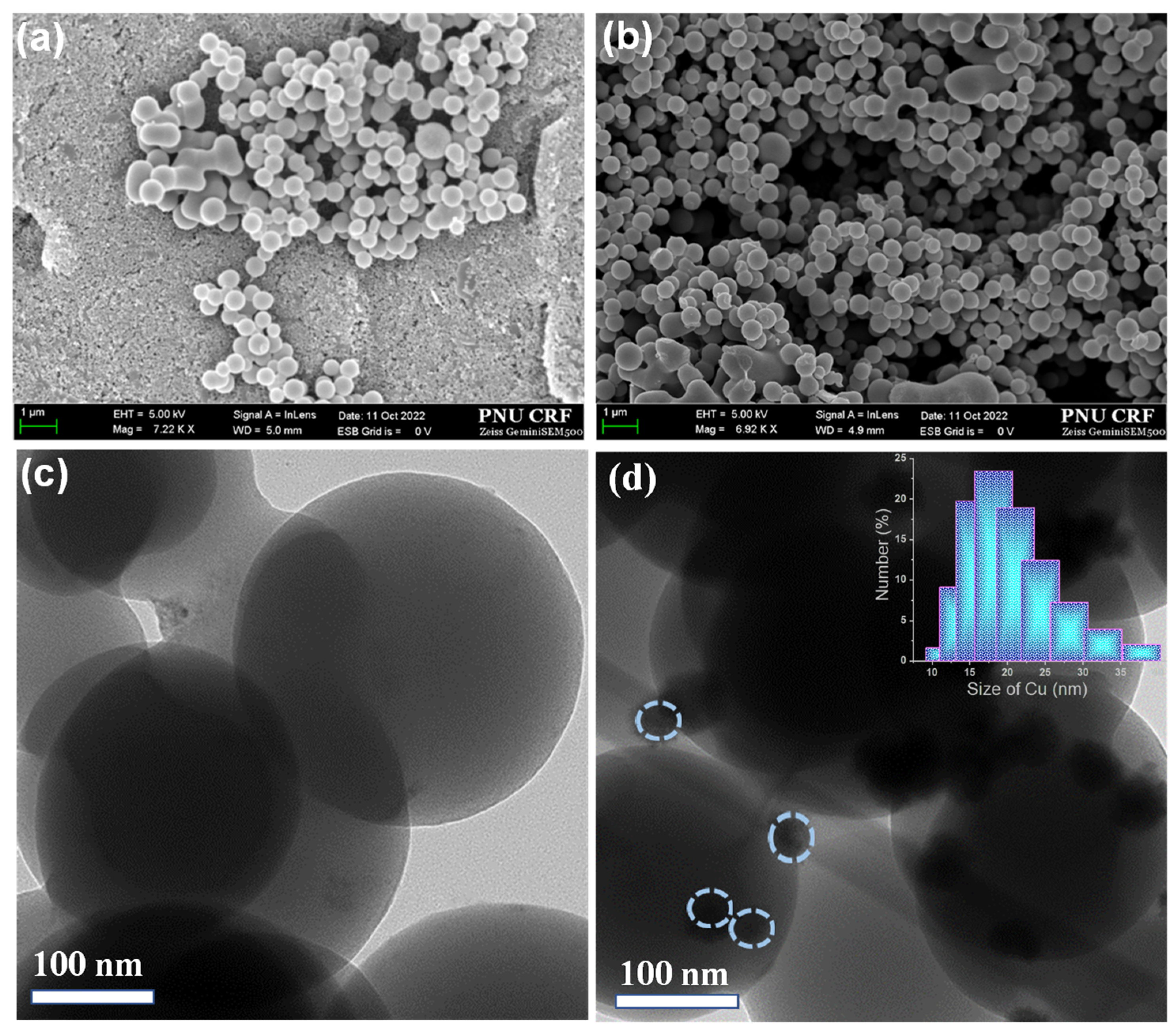 Chemosensors 11 00254 g001
