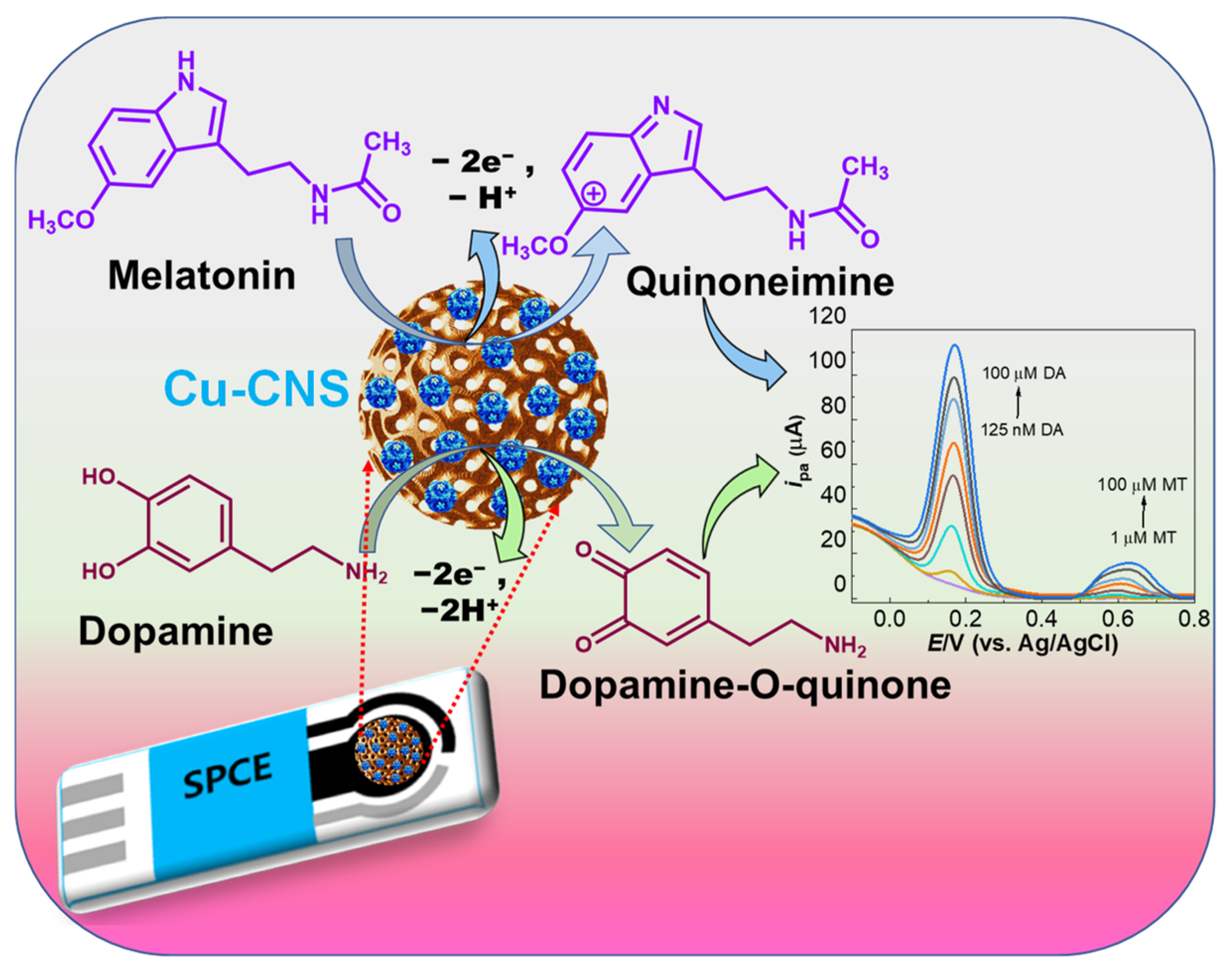 Chemosensors 11 00254 sch001