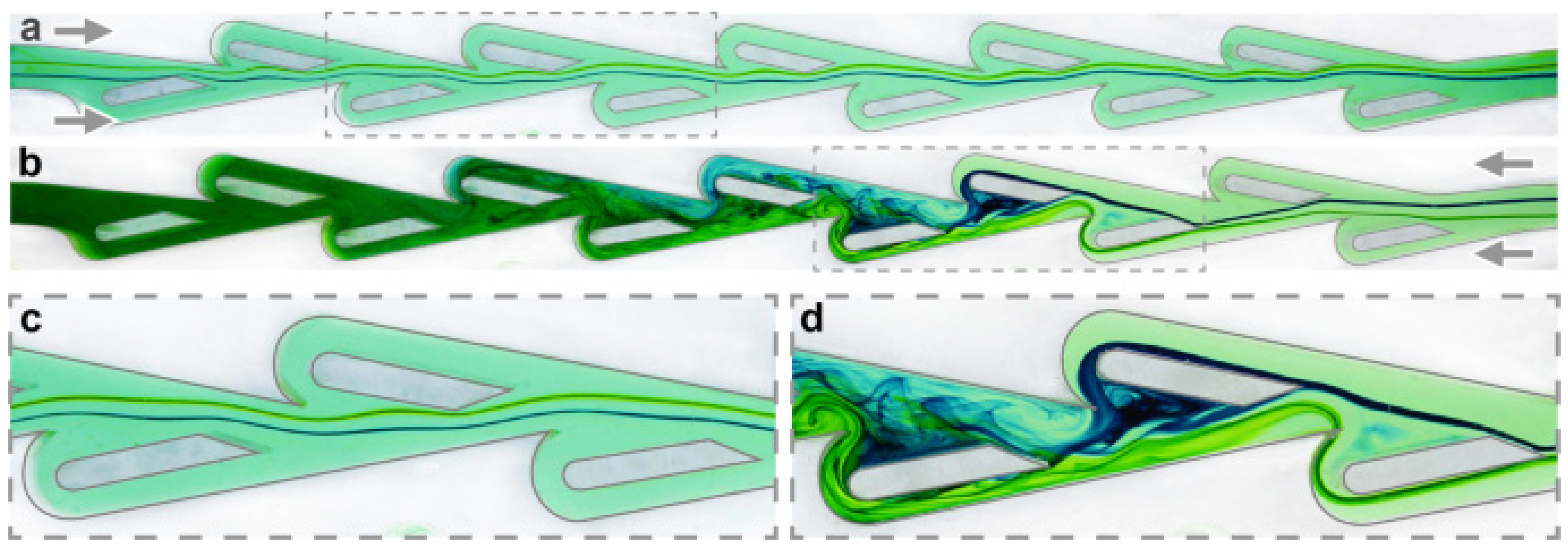 Chemosensors 11 00256 g001