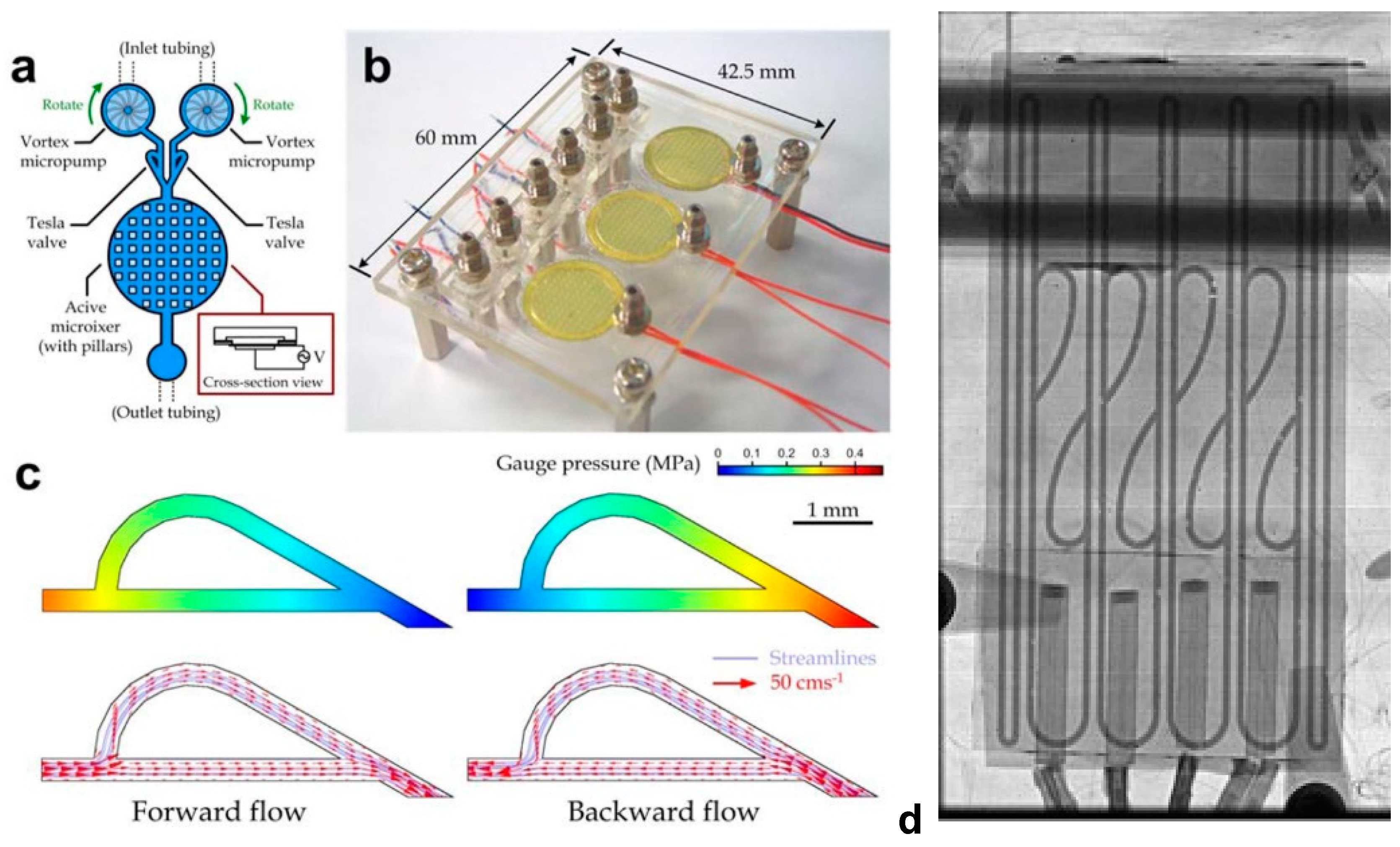 Chemosensors 11 00256 g004a
