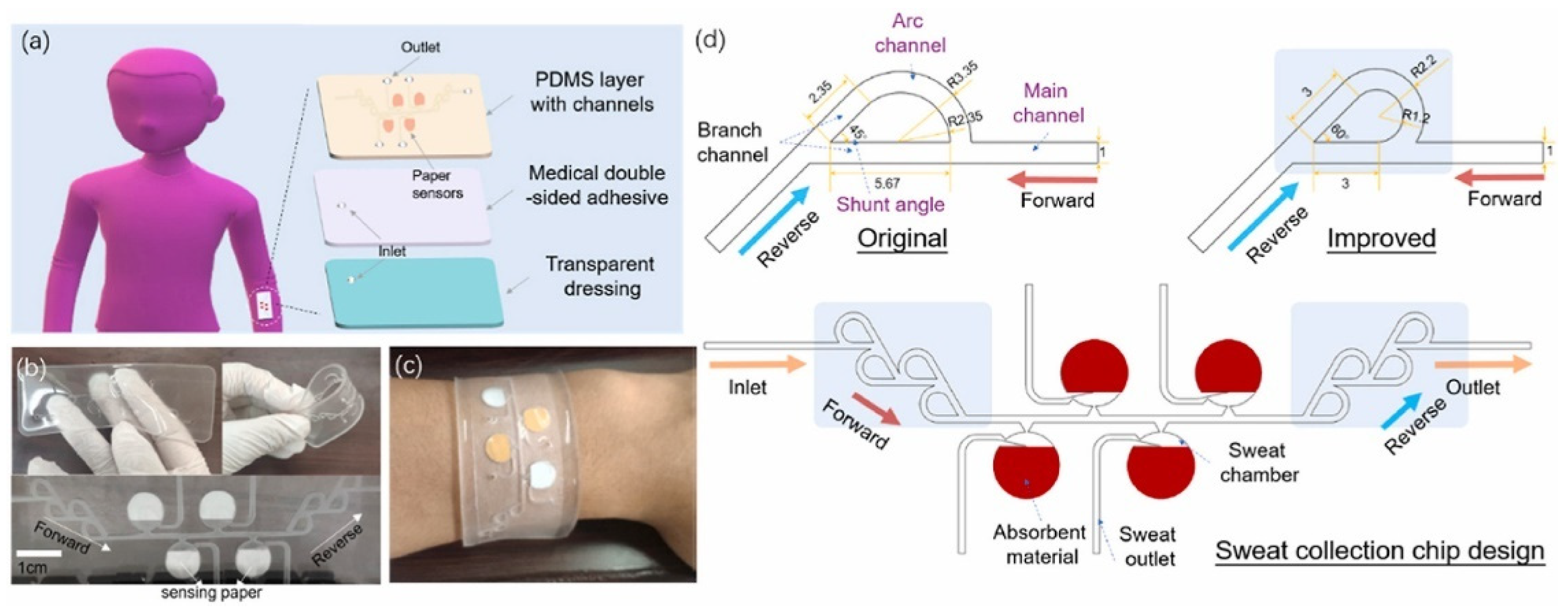 Chemosensors 11 00256 g006
