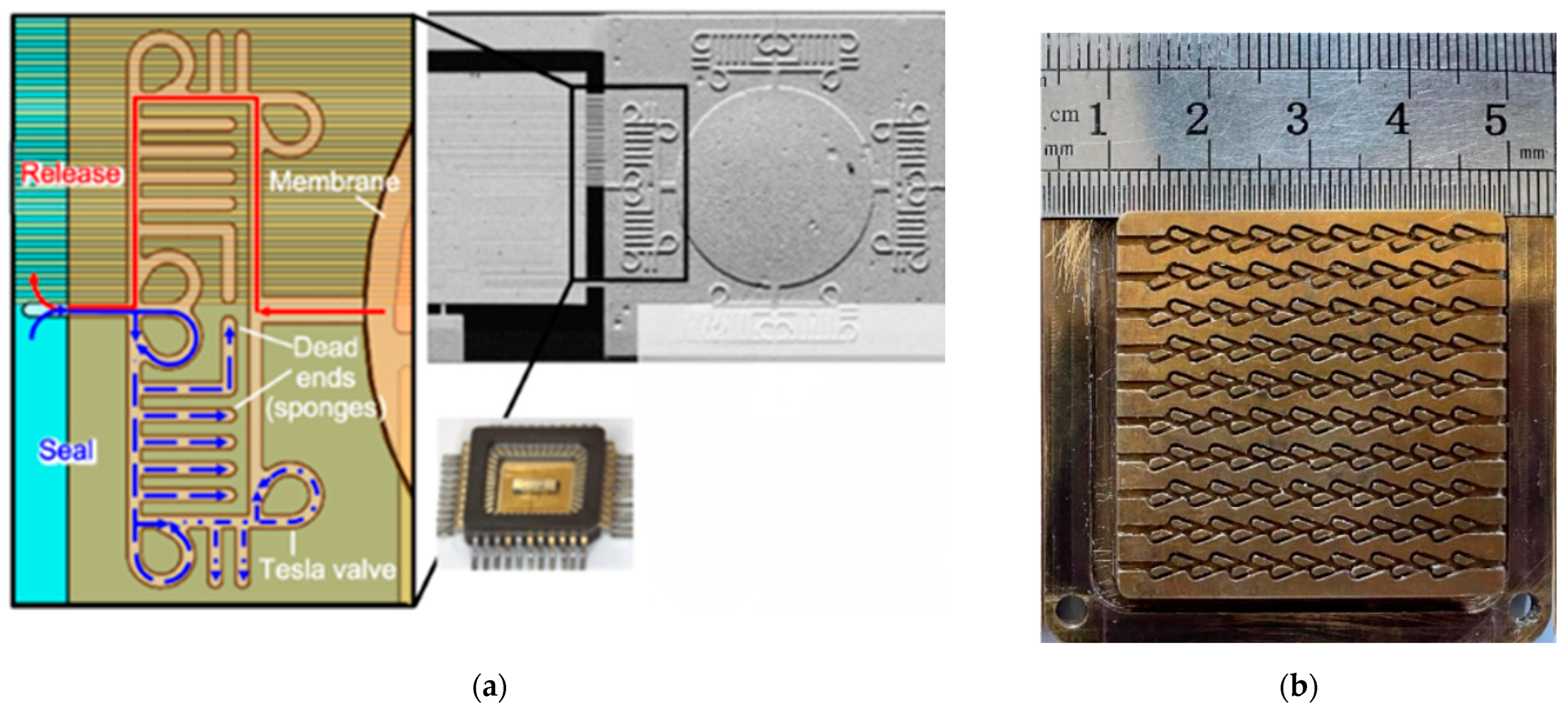Chemosensors 11 00256 g007