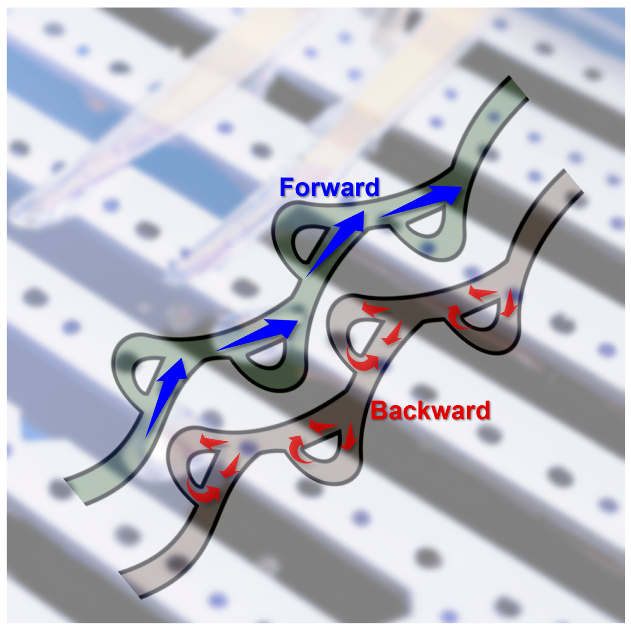 Chemosensors 11 00256 sch001