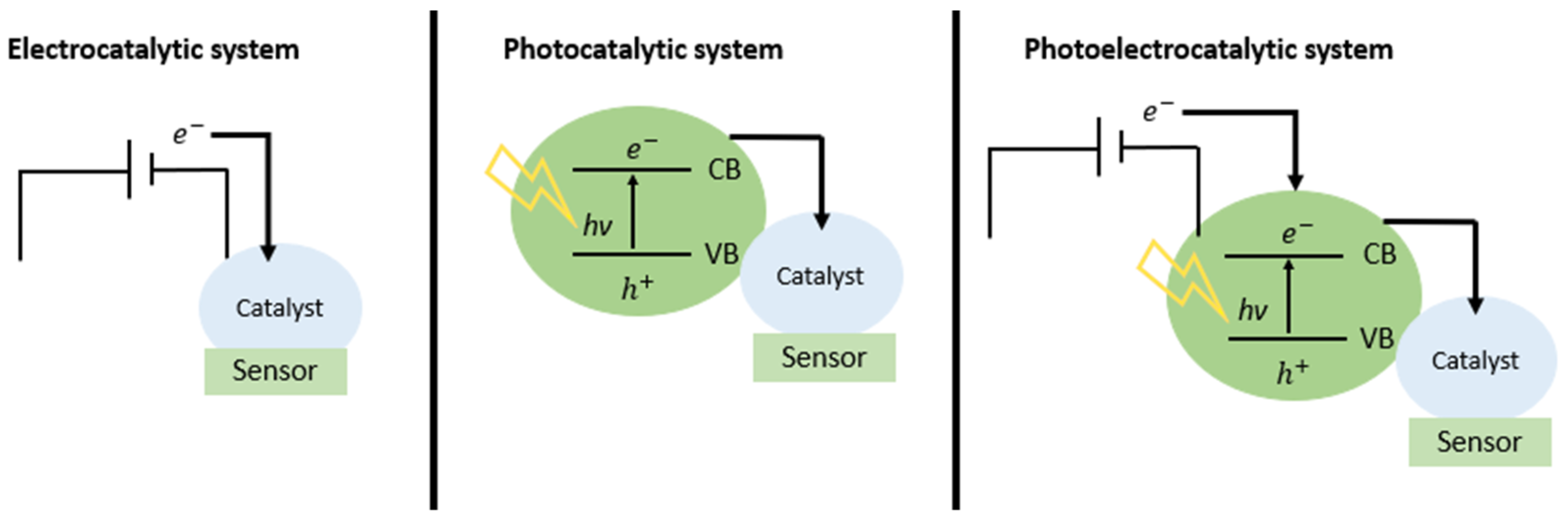 Chemosensors 11 00261 g001