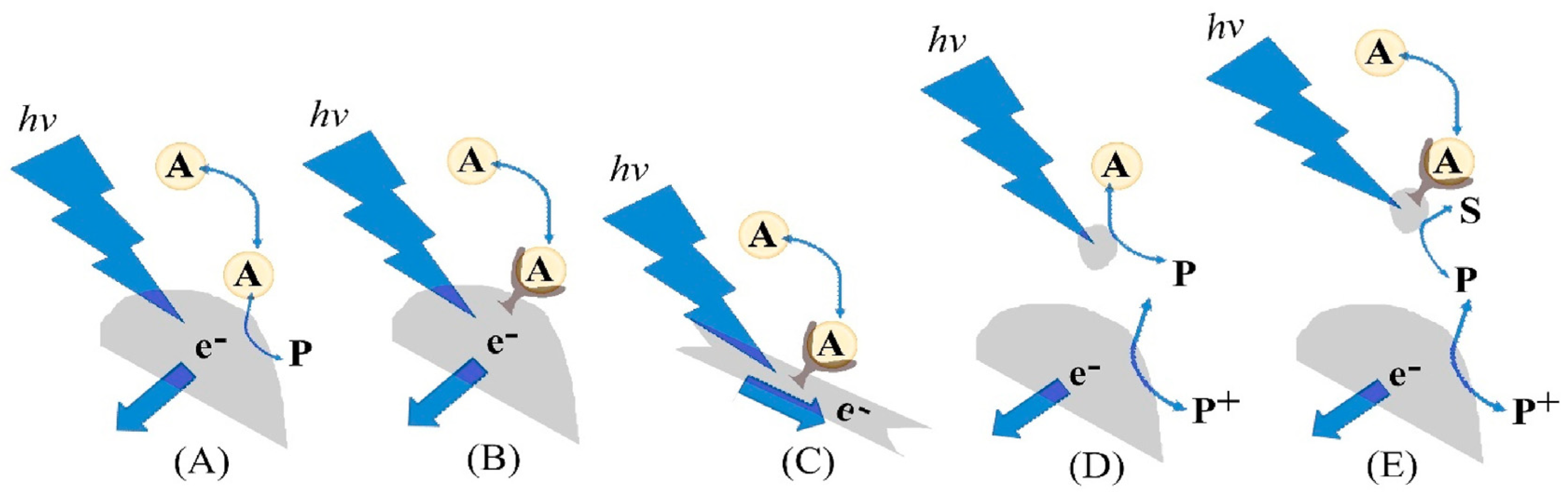 Chemosensors 11 00261 g005