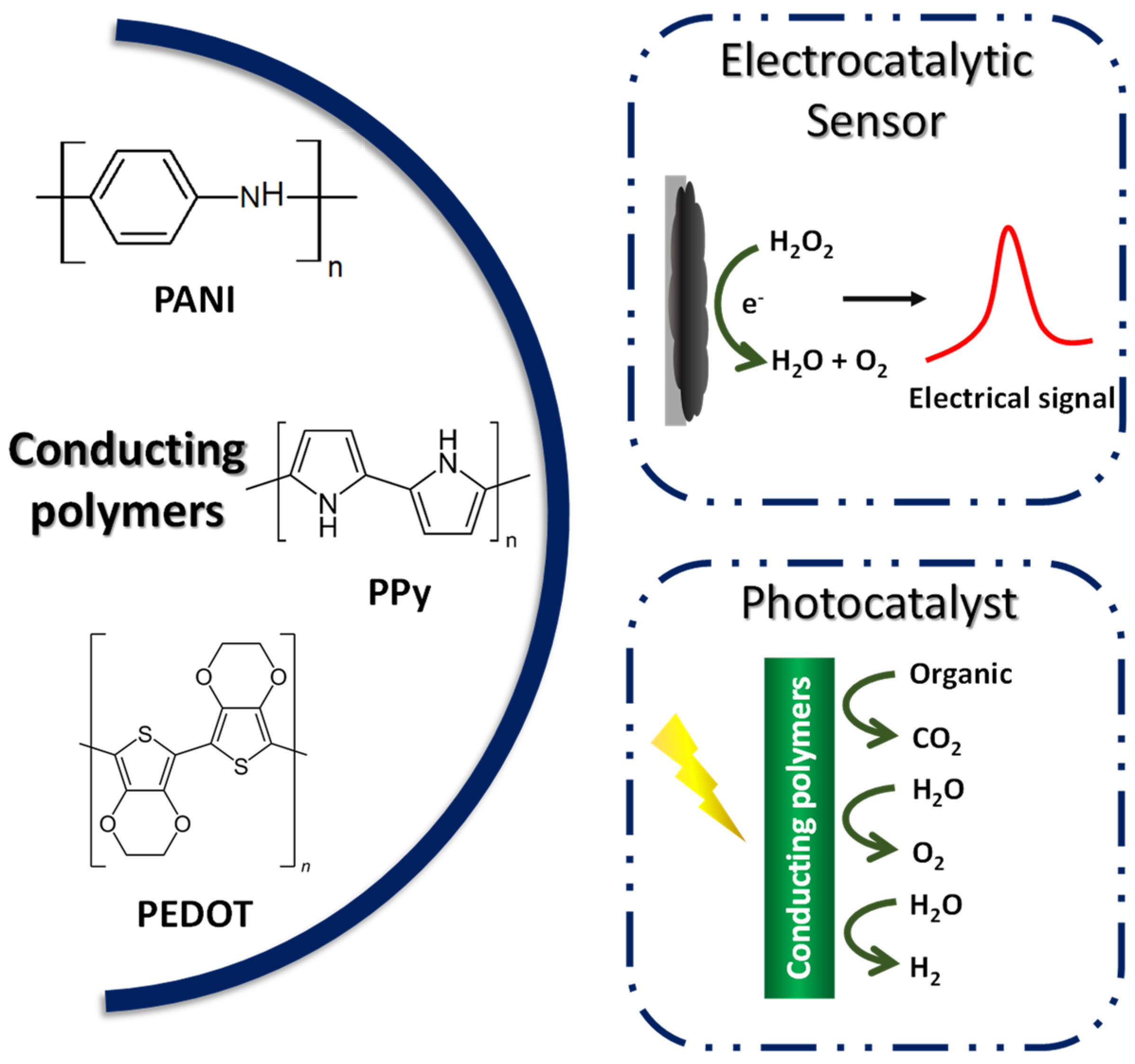 Chemosensors 11 00261 g007