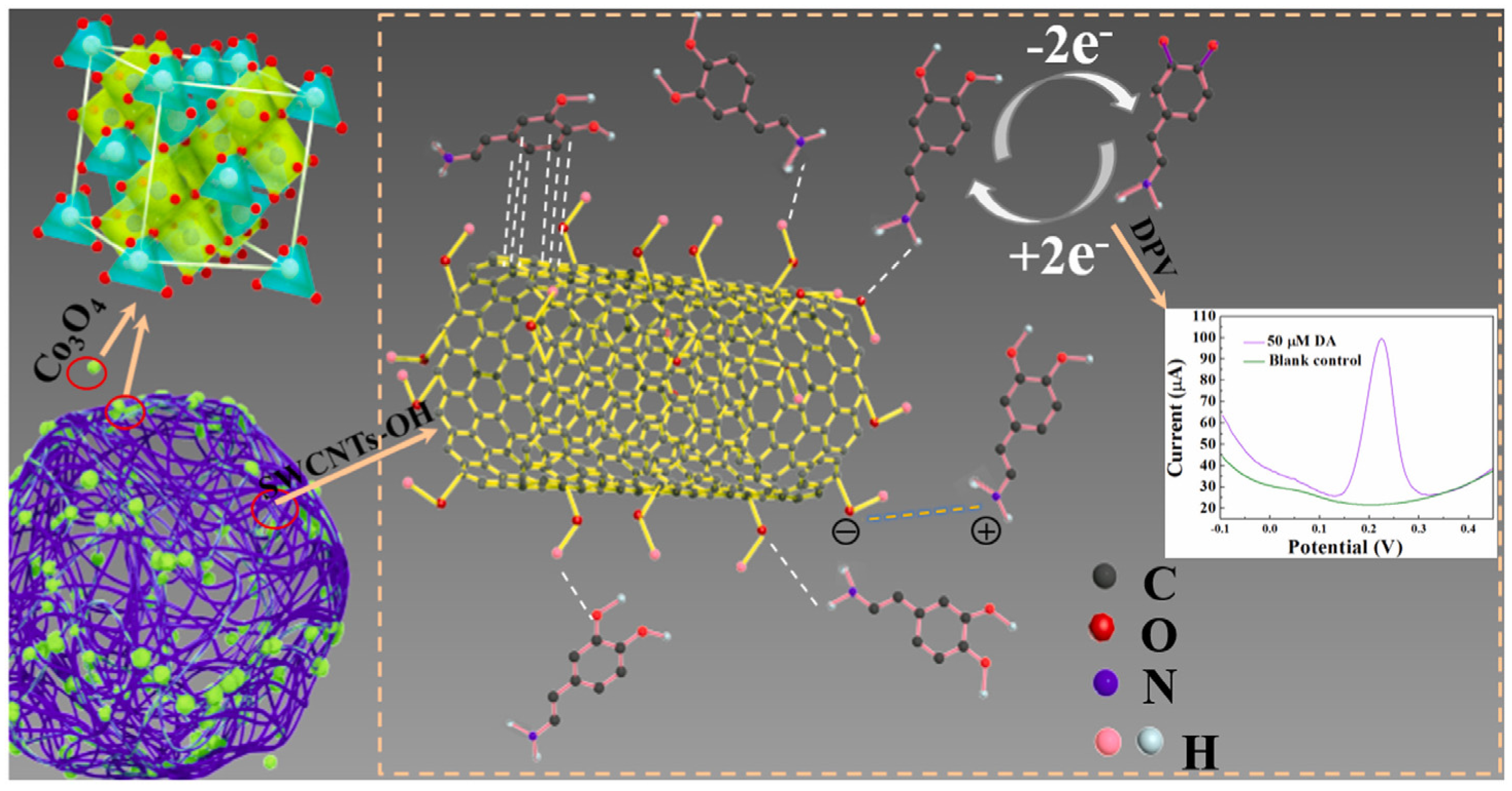 Chemosensors 11 00261 g008