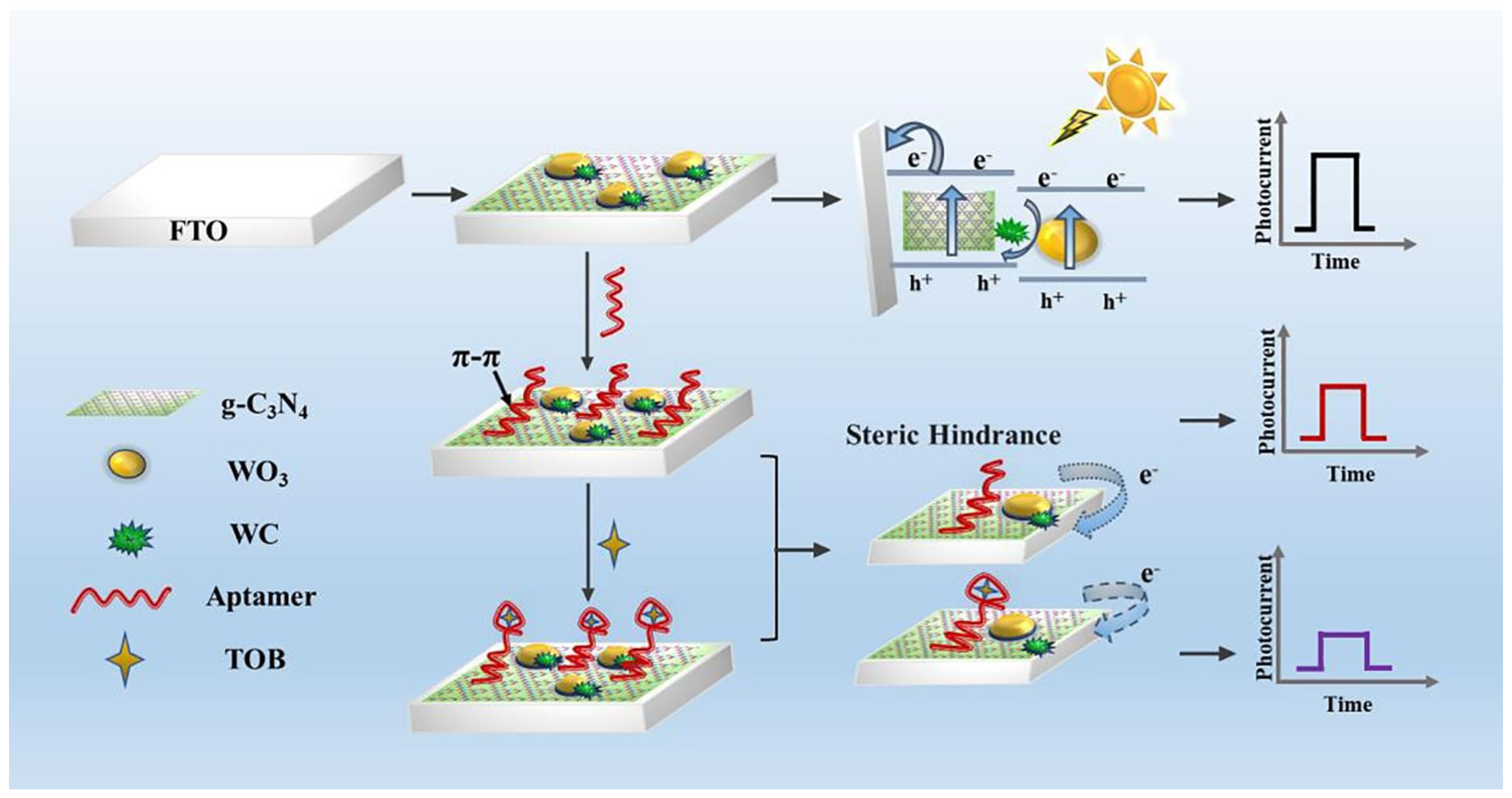 Chemosensors 11 00261 g010