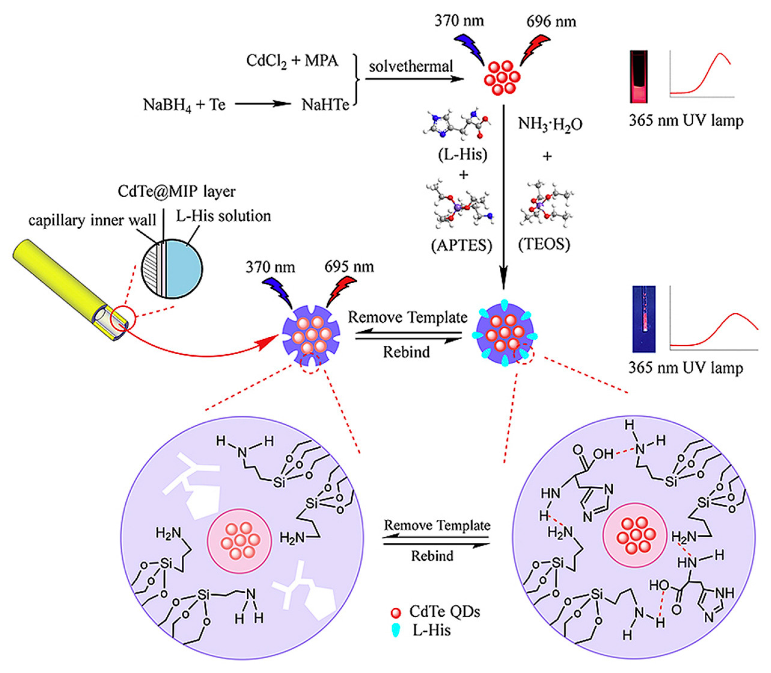 Chemosensors 11 00269 g004