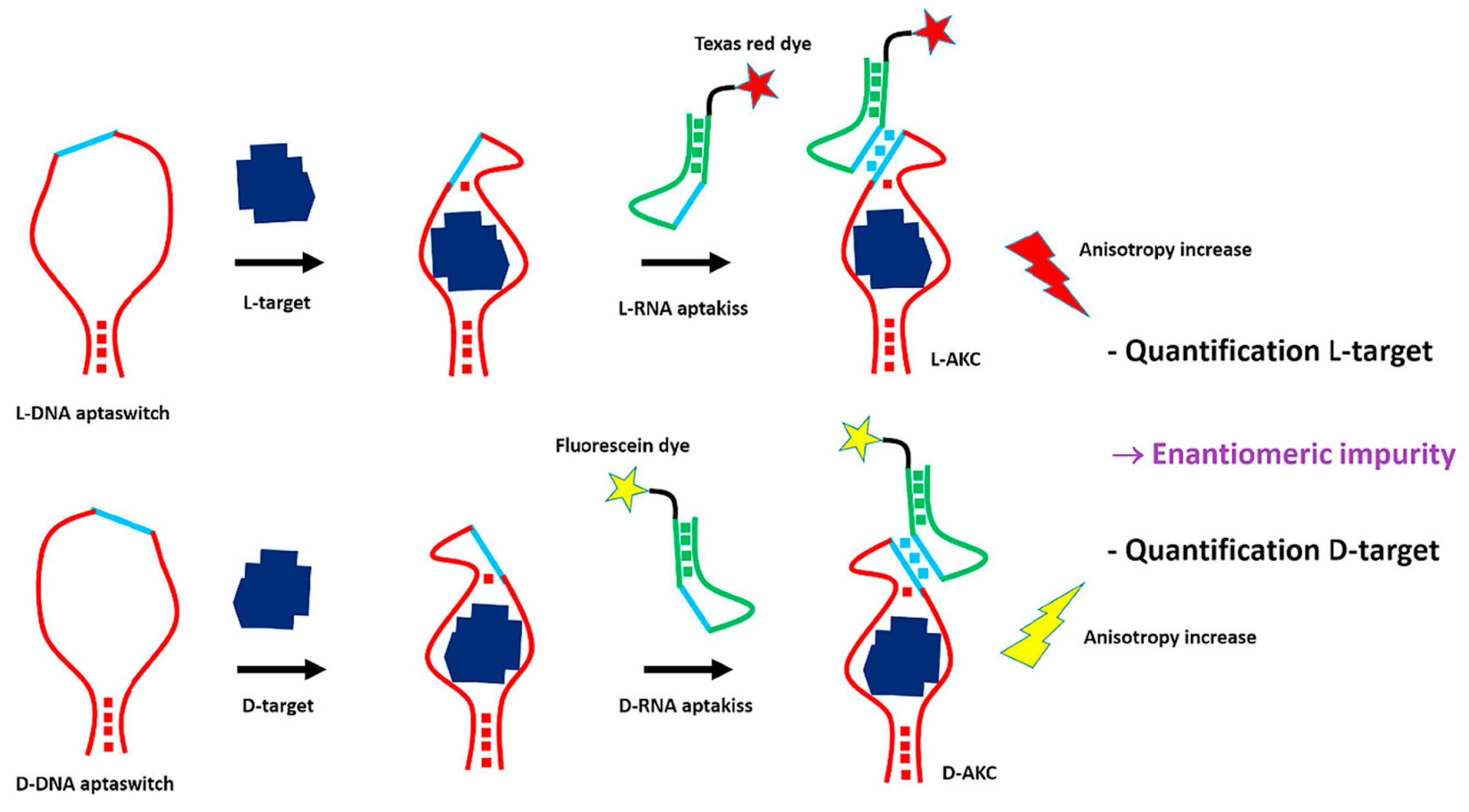 Chemosensors 11 00269 g005