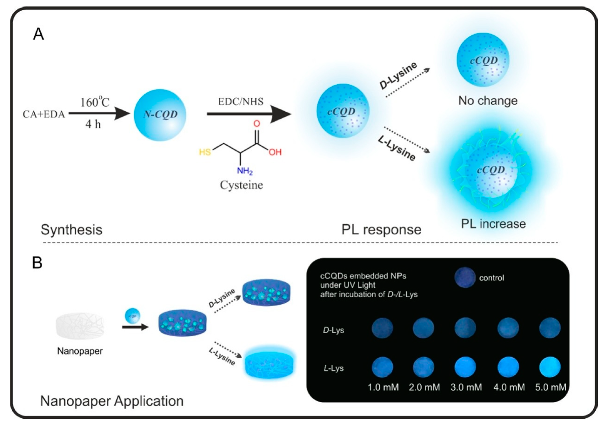 Chemosensors 11 00269 g008