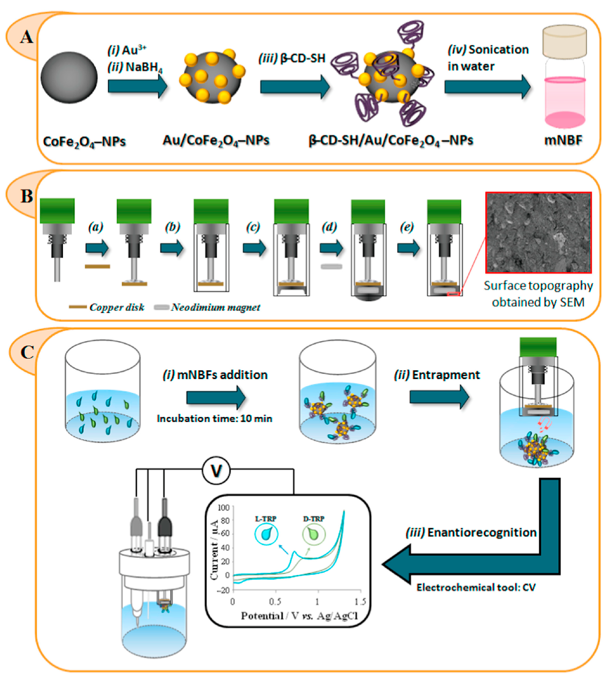 Chemosensors 11 00269 g009