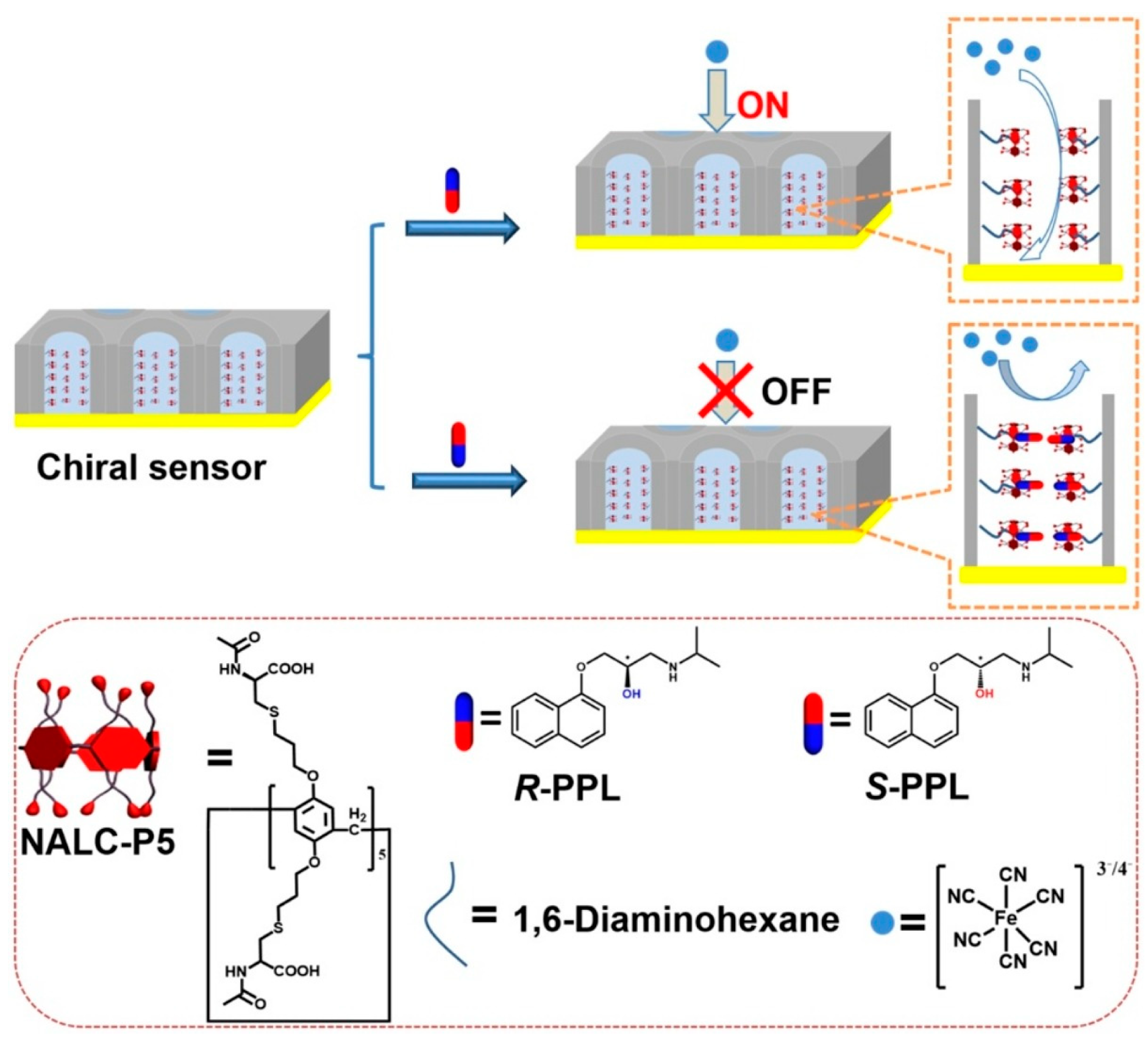 Chemosensors 11 00269 g015
