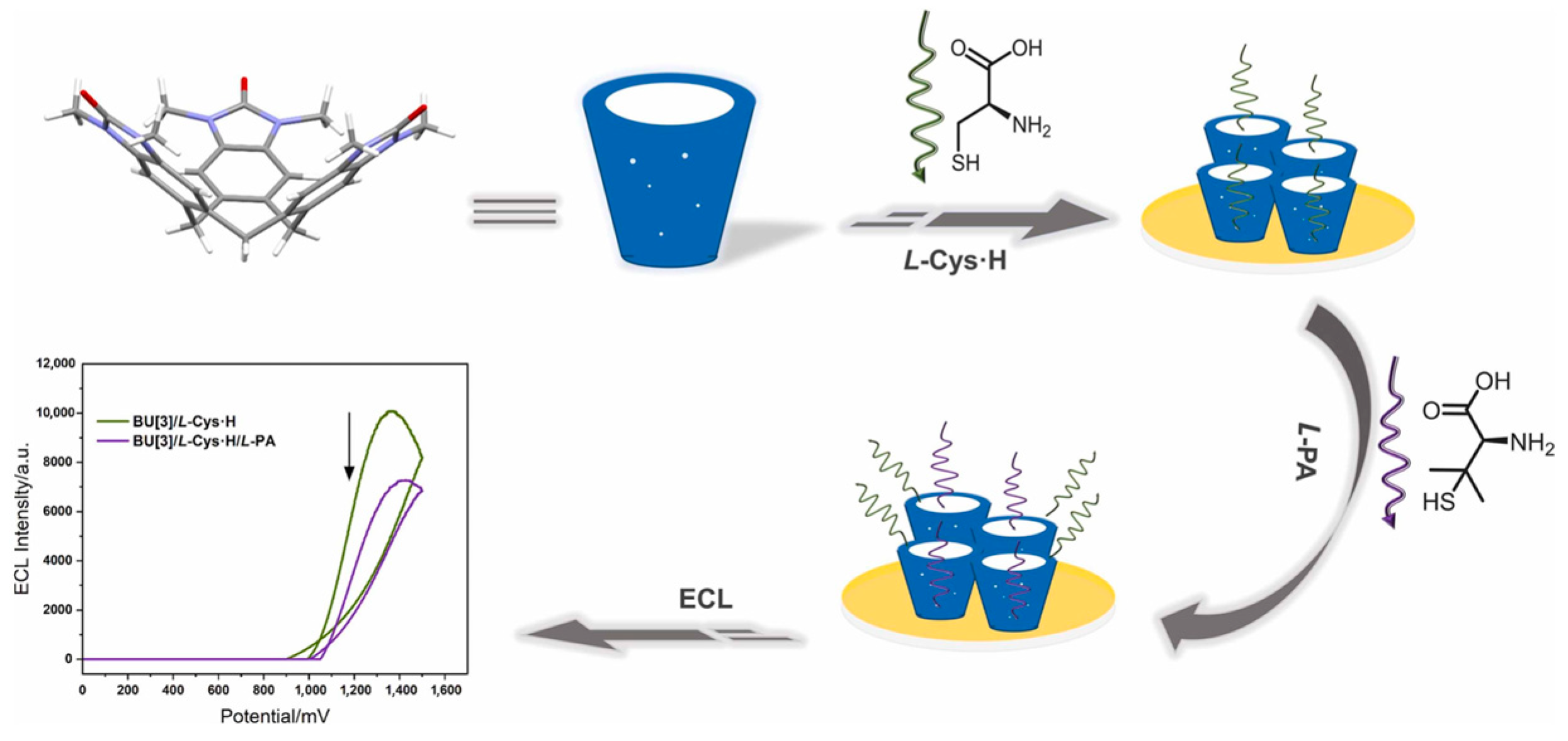 Chemosensors 11 00269 g016