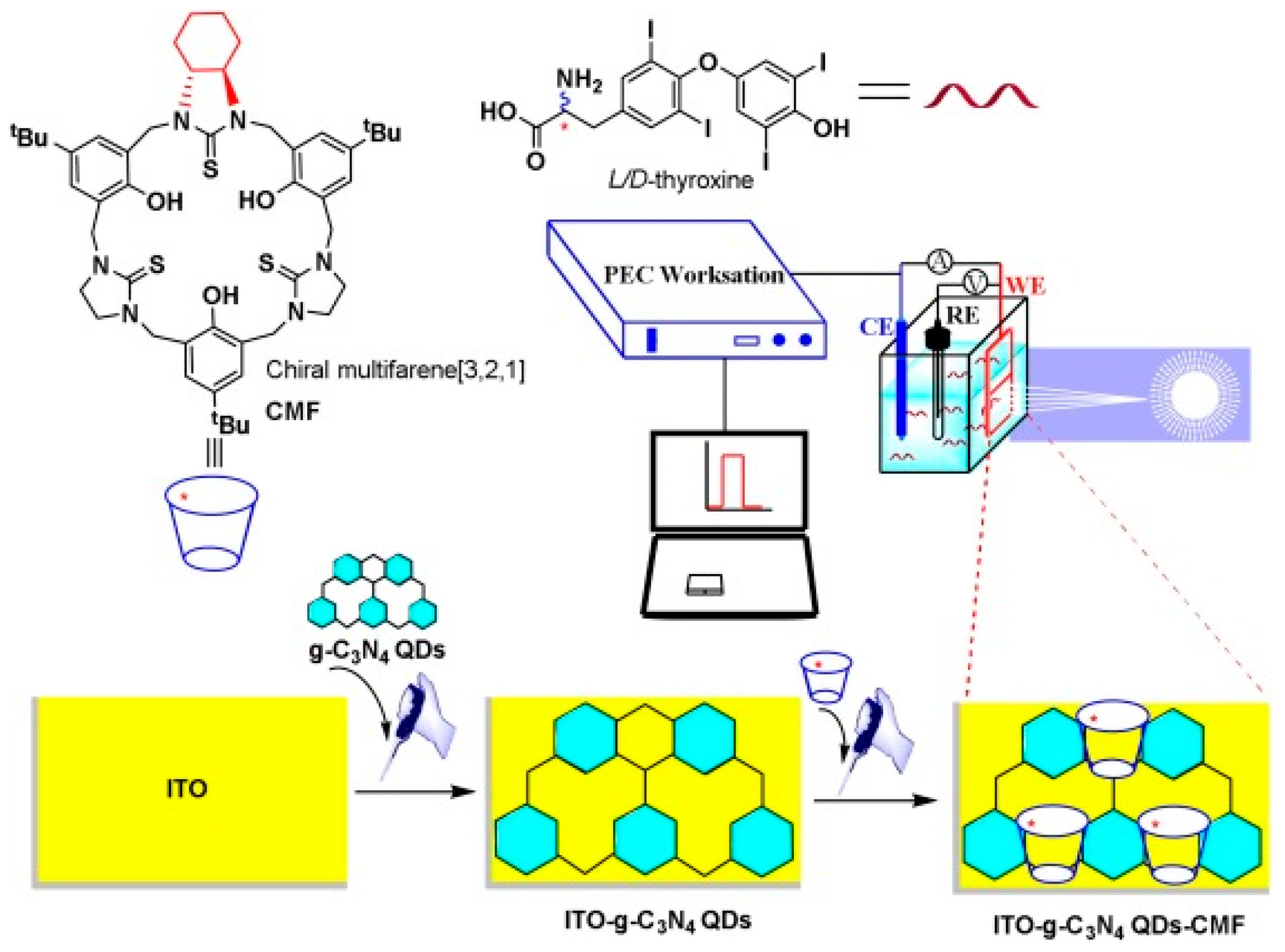 Chemosensors 11 00269 g017