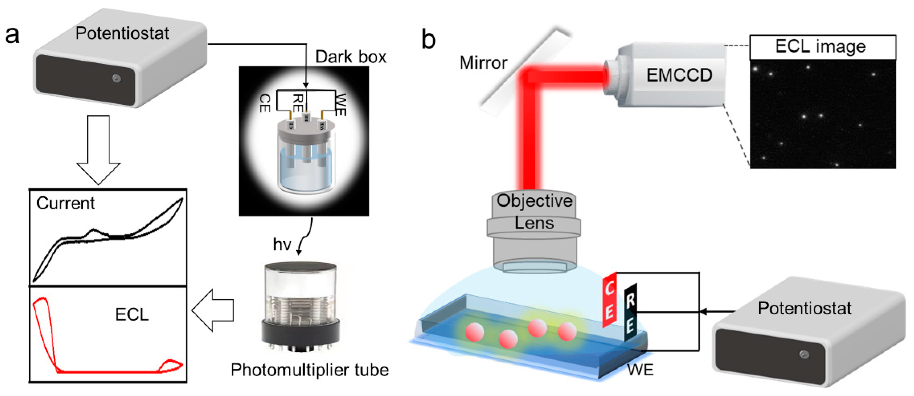 Chemosensors 11 00281 g001
