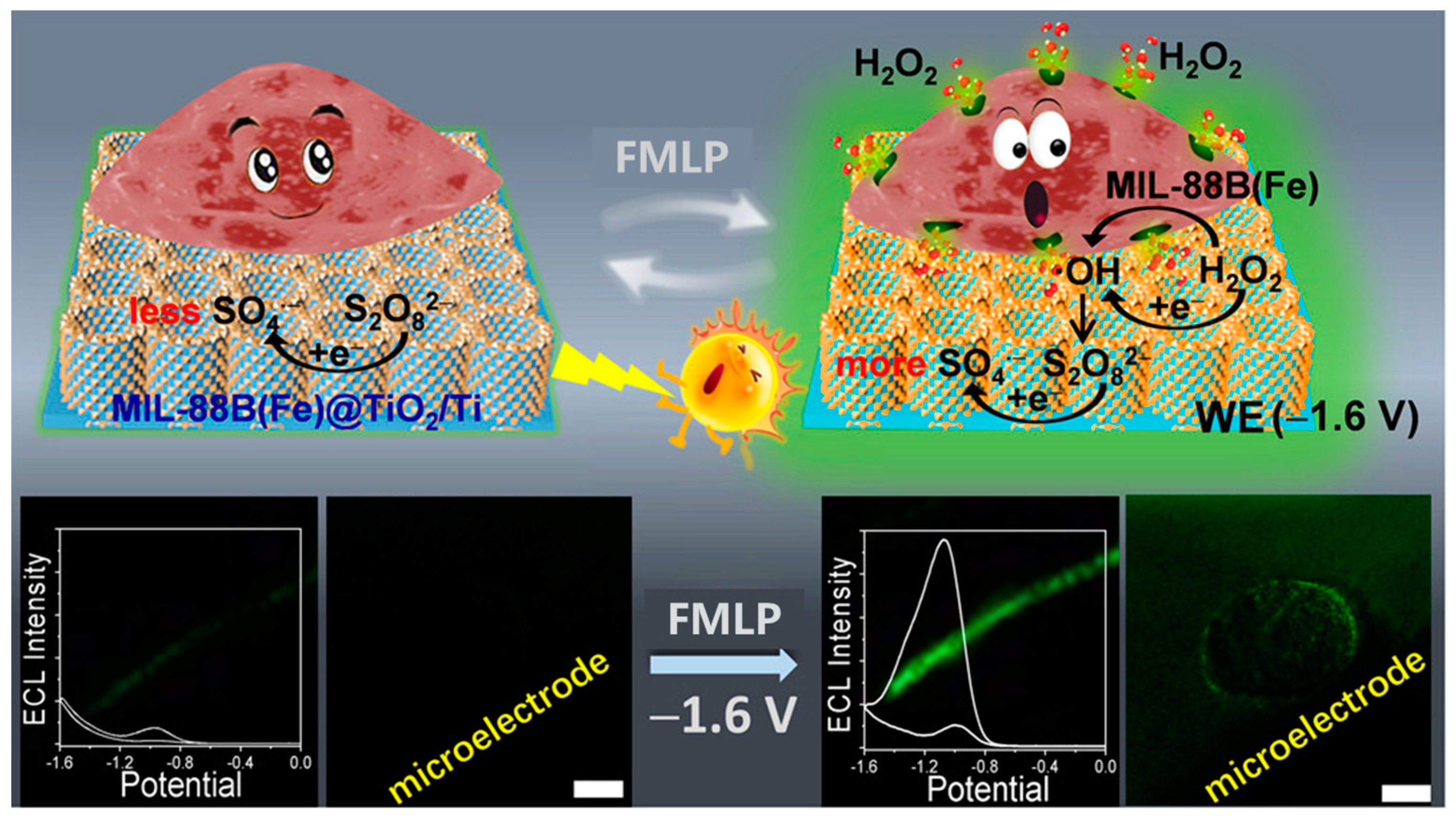 Chemosensors 11 00281 g002