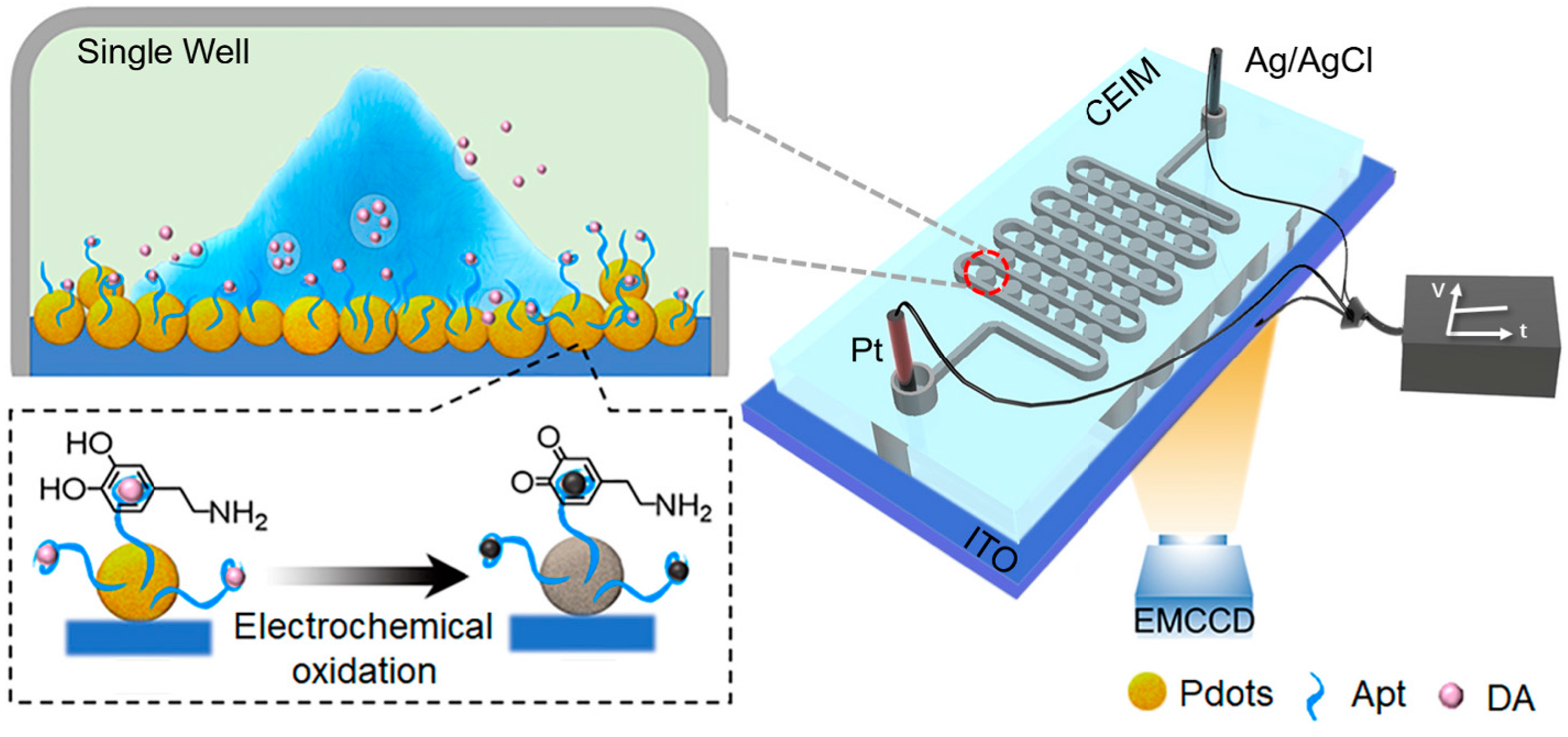 Chemosensors 11 00281 g003