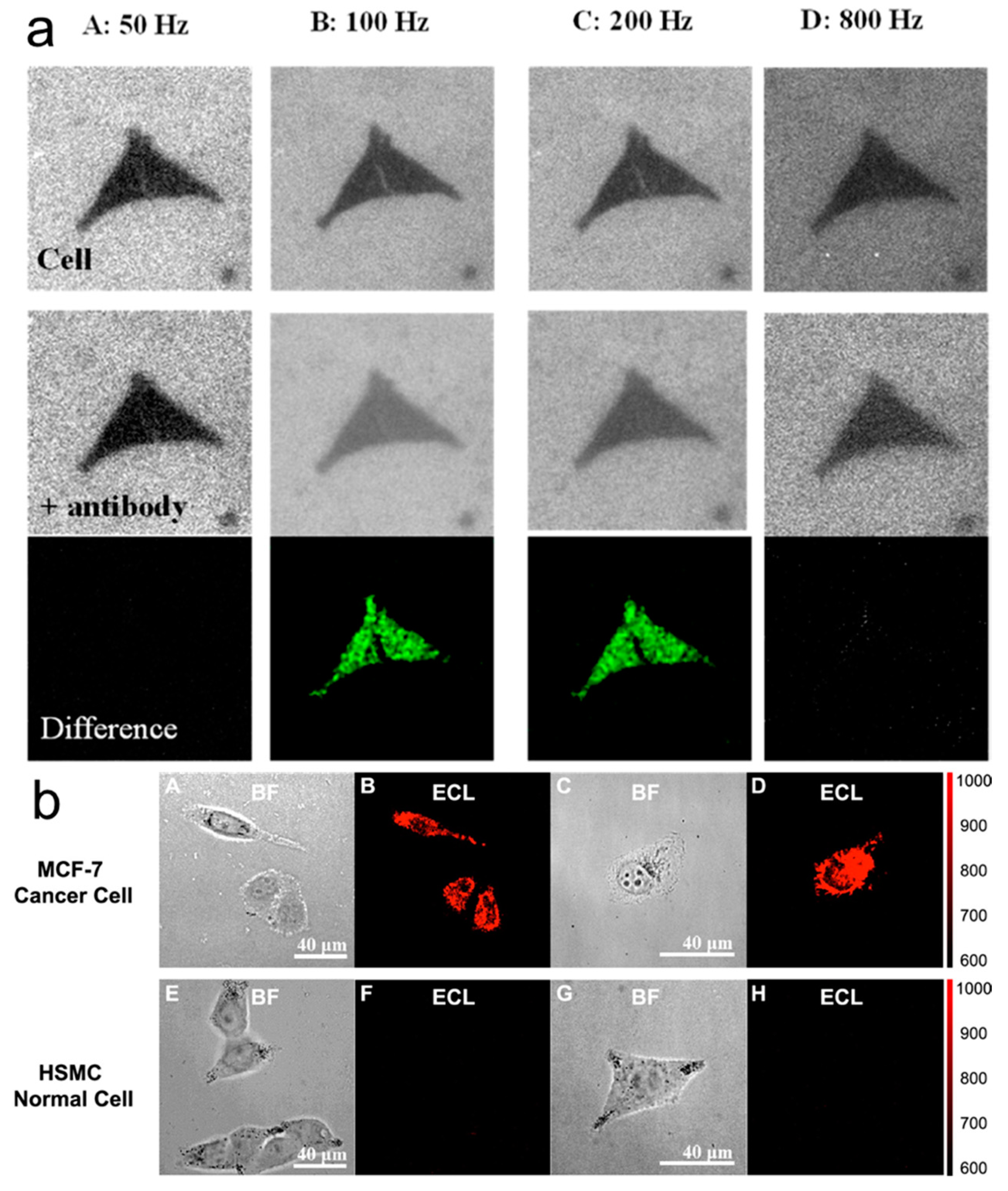 Chemosensors 11 00281 g008