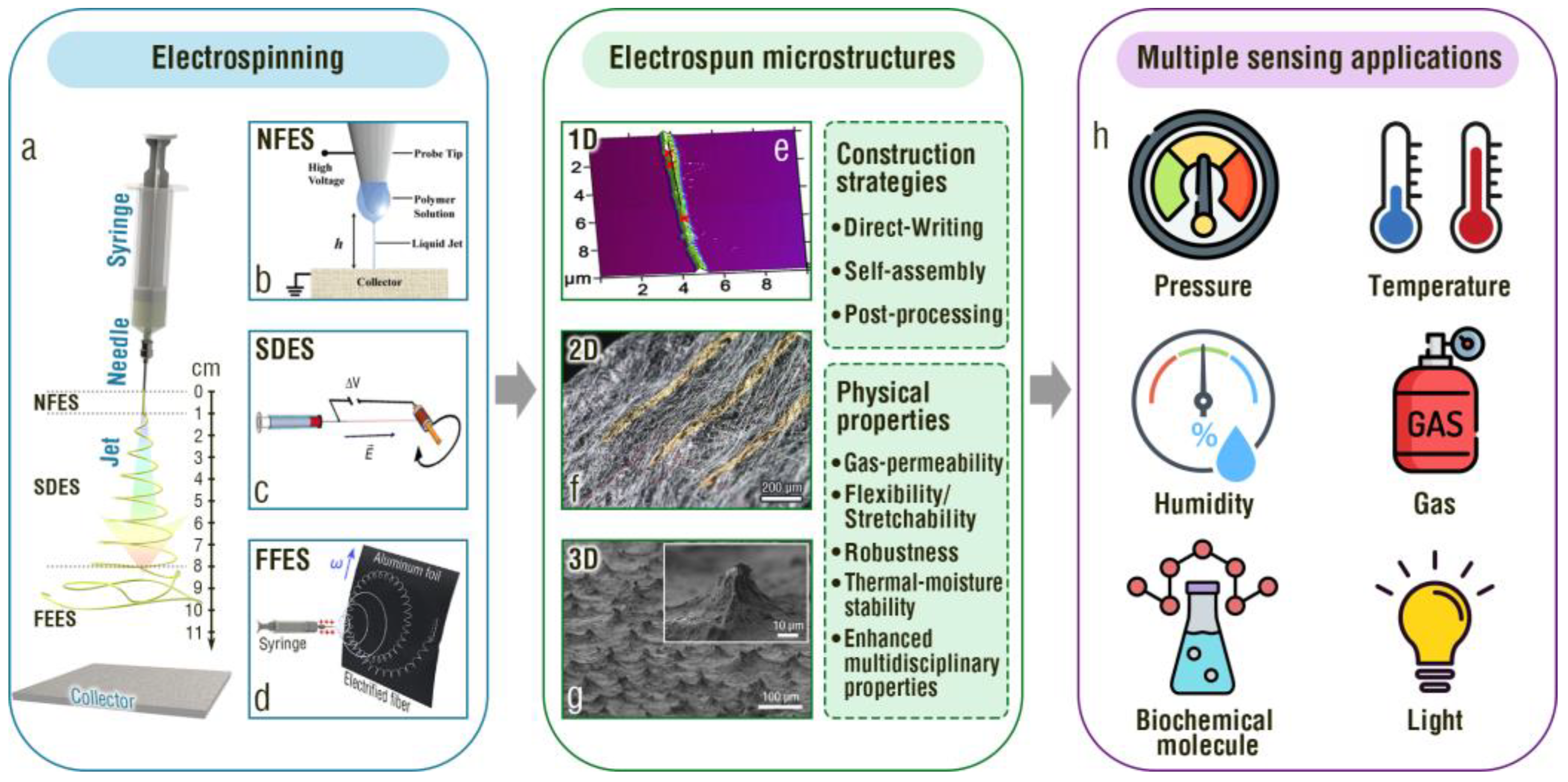 Chemosensors 11 00295 g001