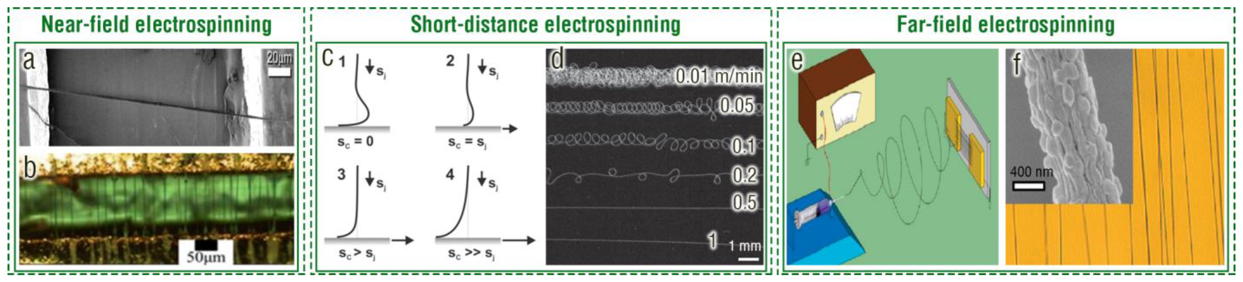 Chemosensors 11 00295 g004