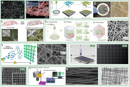 Chemosensors 11 00295 g005