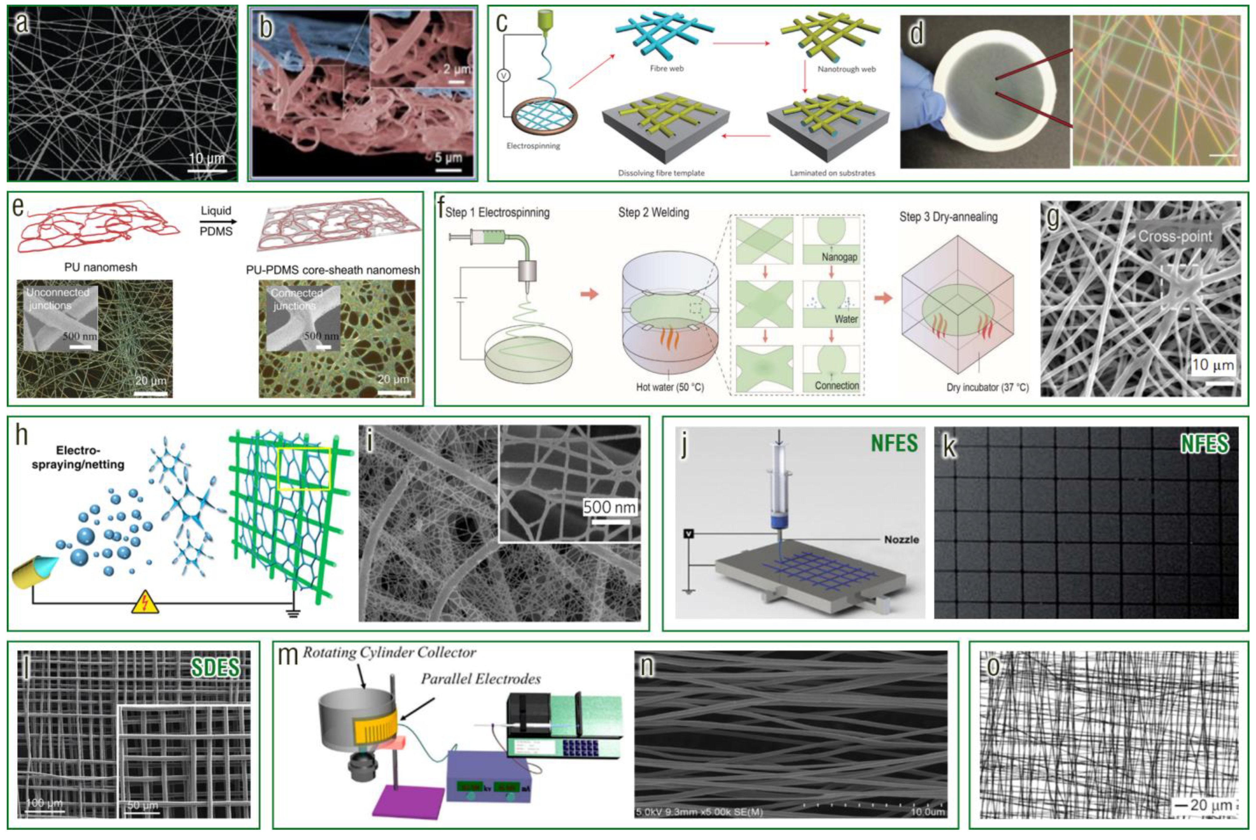 Chemosensors 11 00295 g005