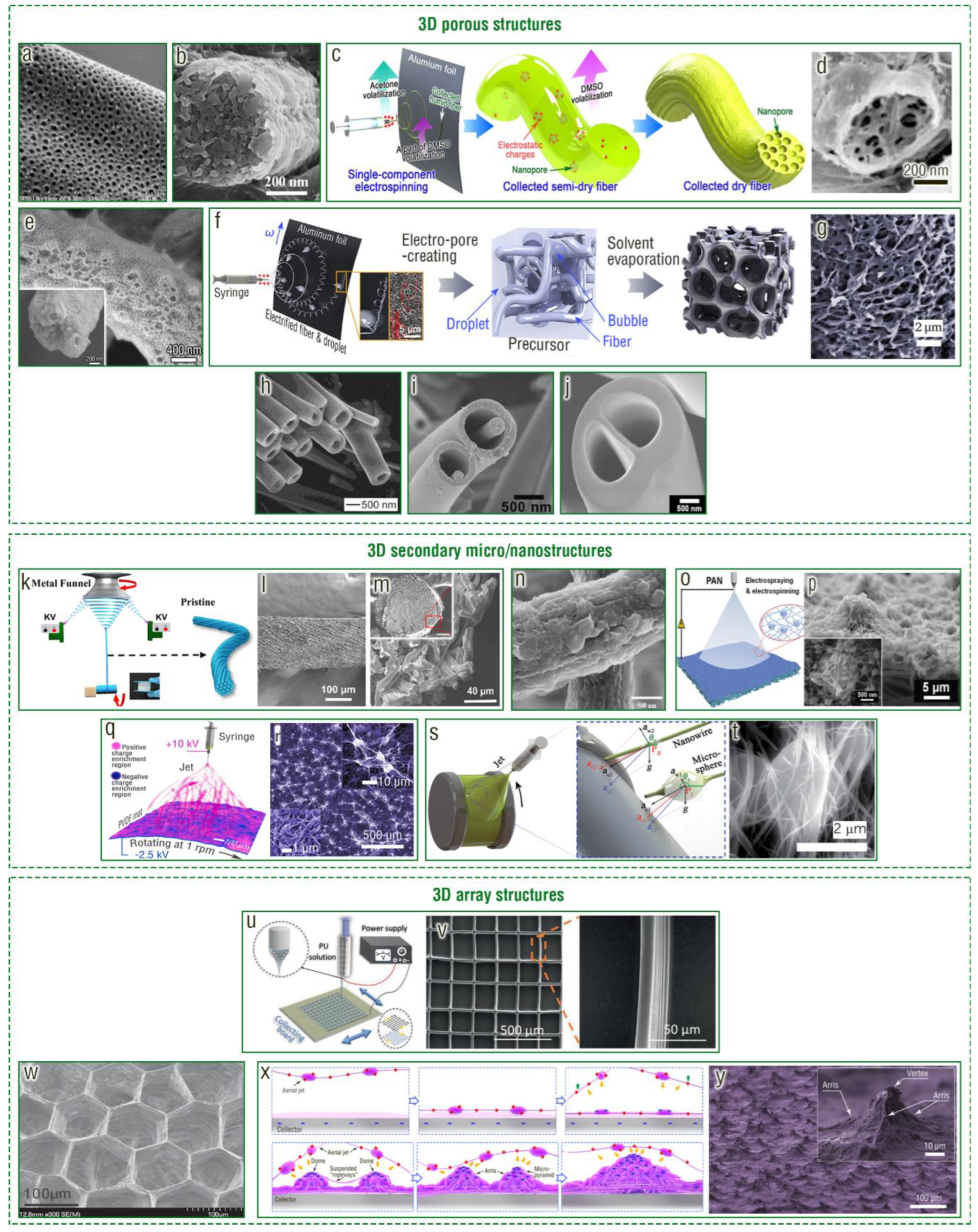Chemosensors 11 00295 g006
