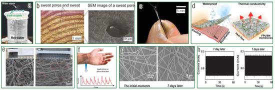Chemosensors 11 00295 g007