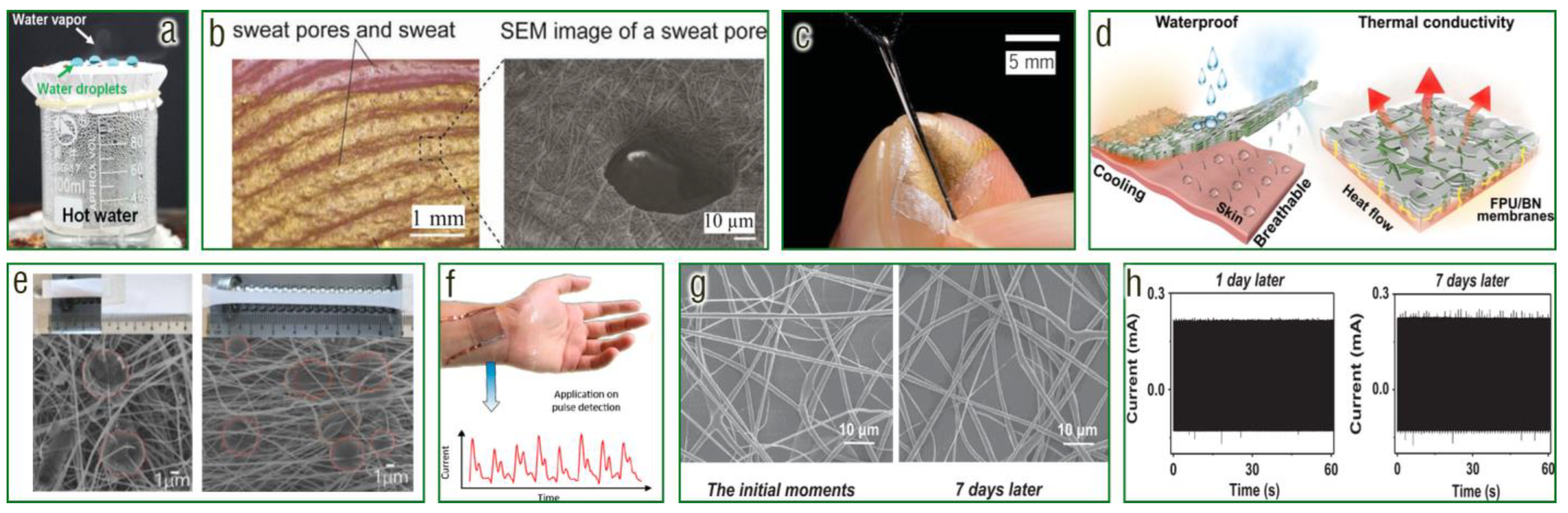Chemosensors 11 00295 g007