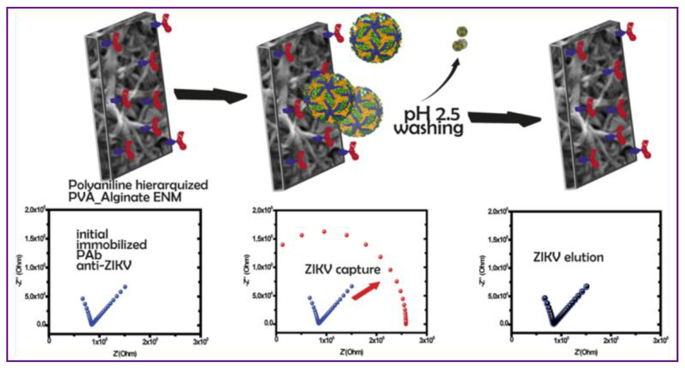 Chemosensors 11 00295 g012