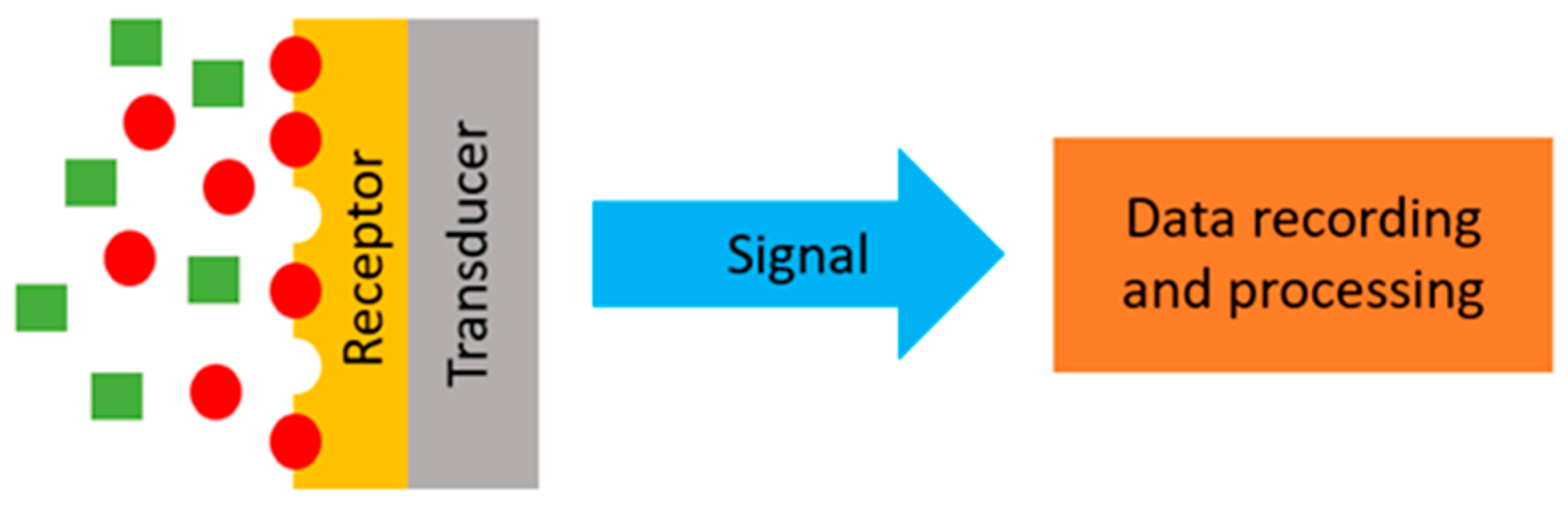 Chemosensors 11 00299 g002