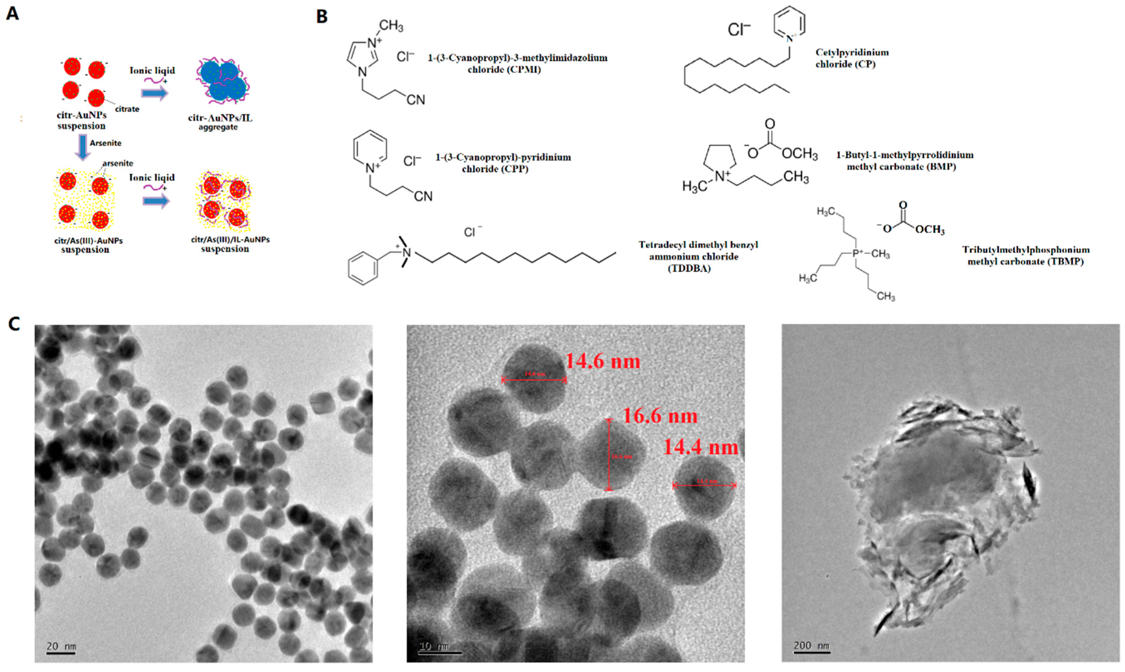 Chemosensors 11 00302 g001