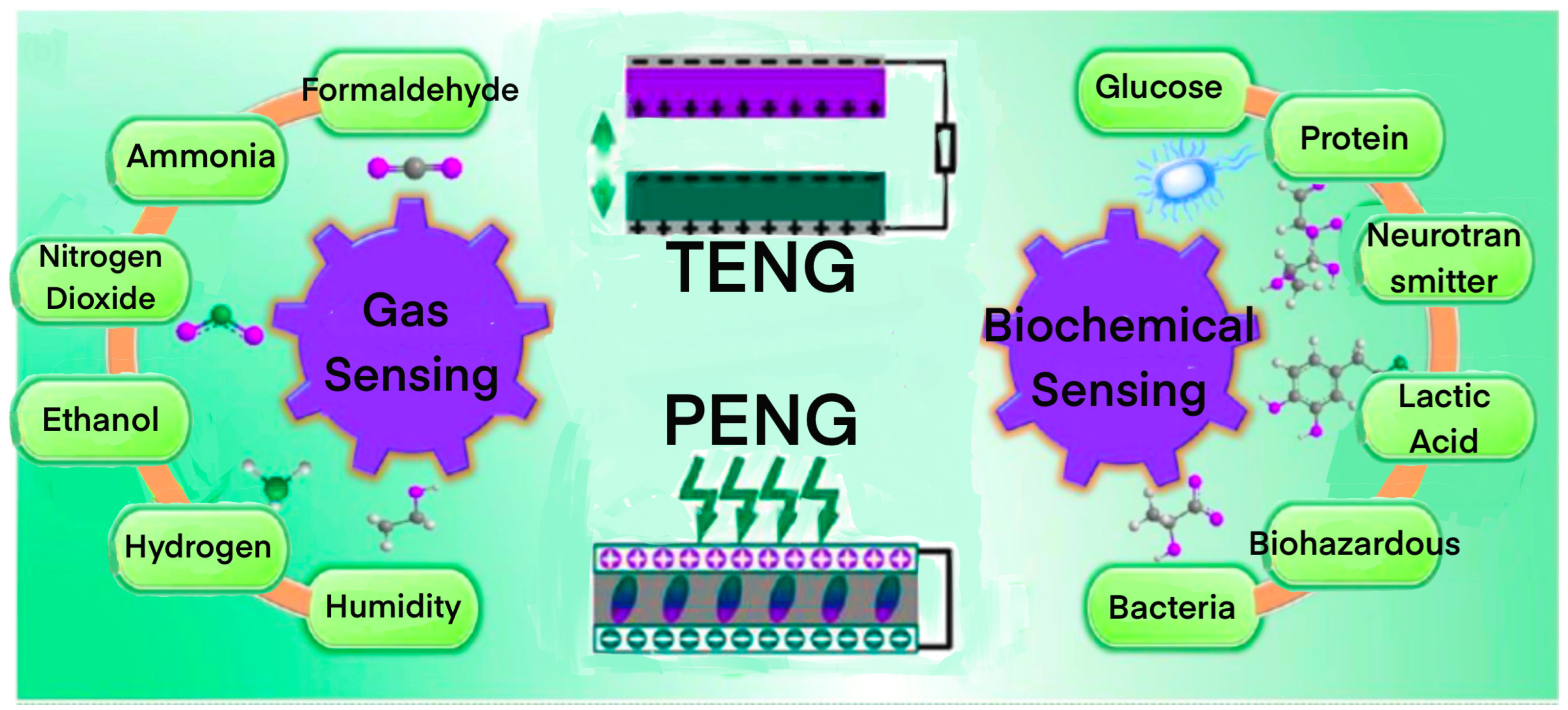 Chemosensors 11 00304 g001 Chemosensors 11 00304 g001
