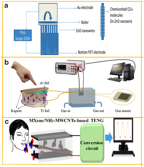 Chemosensors 11 00304 g004