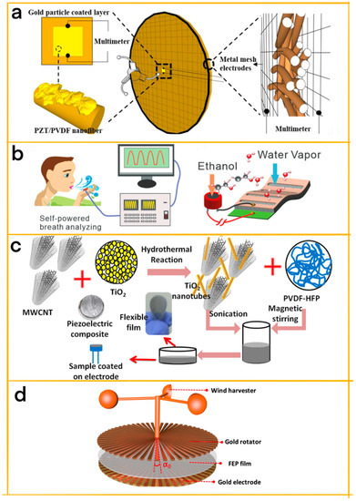 Chemosensors 11 00304 g006