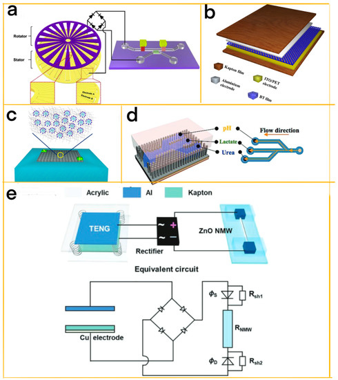 Chemosensors 11 00304 g008