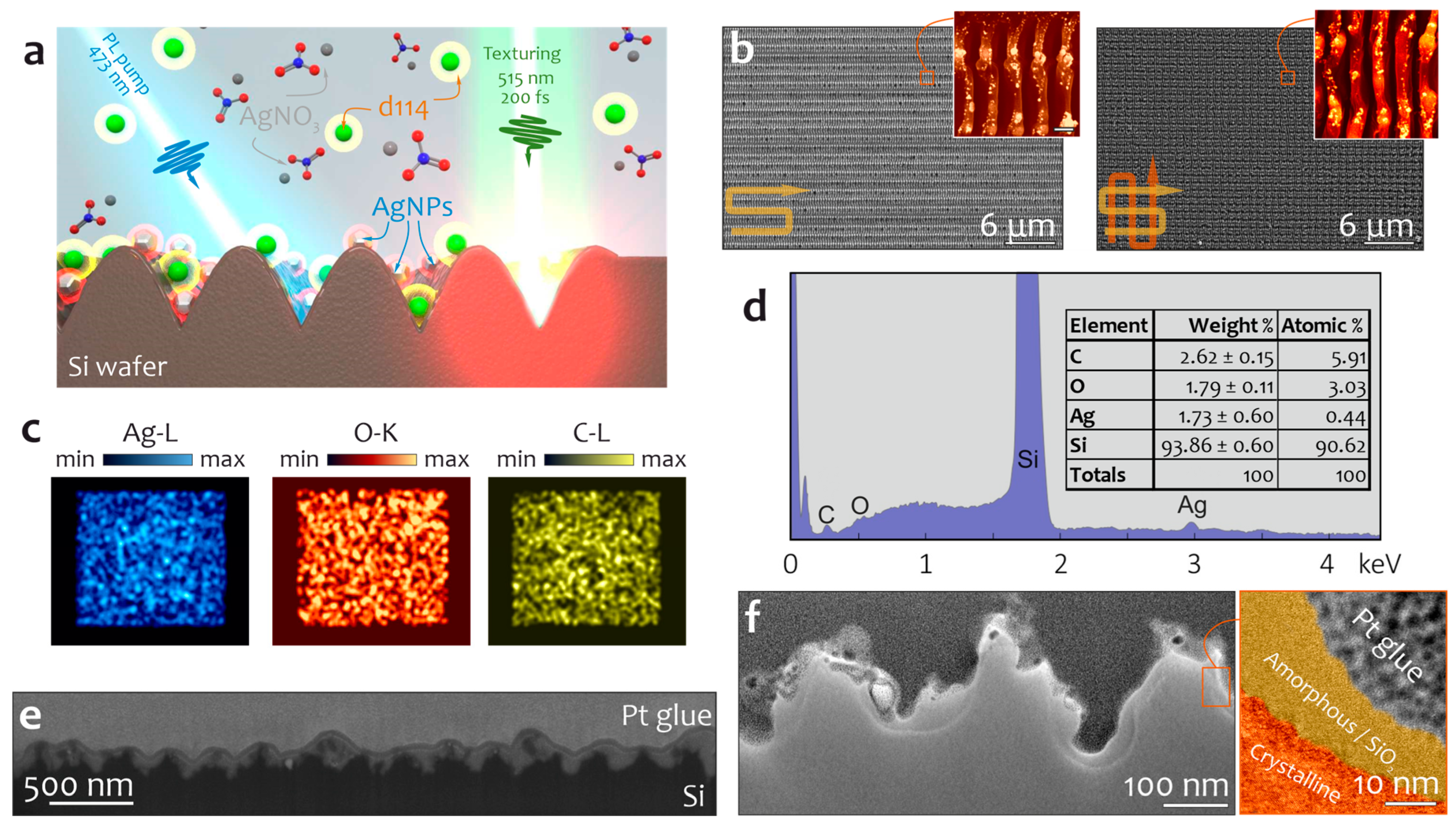 Chemosensors 11 00307 g001
