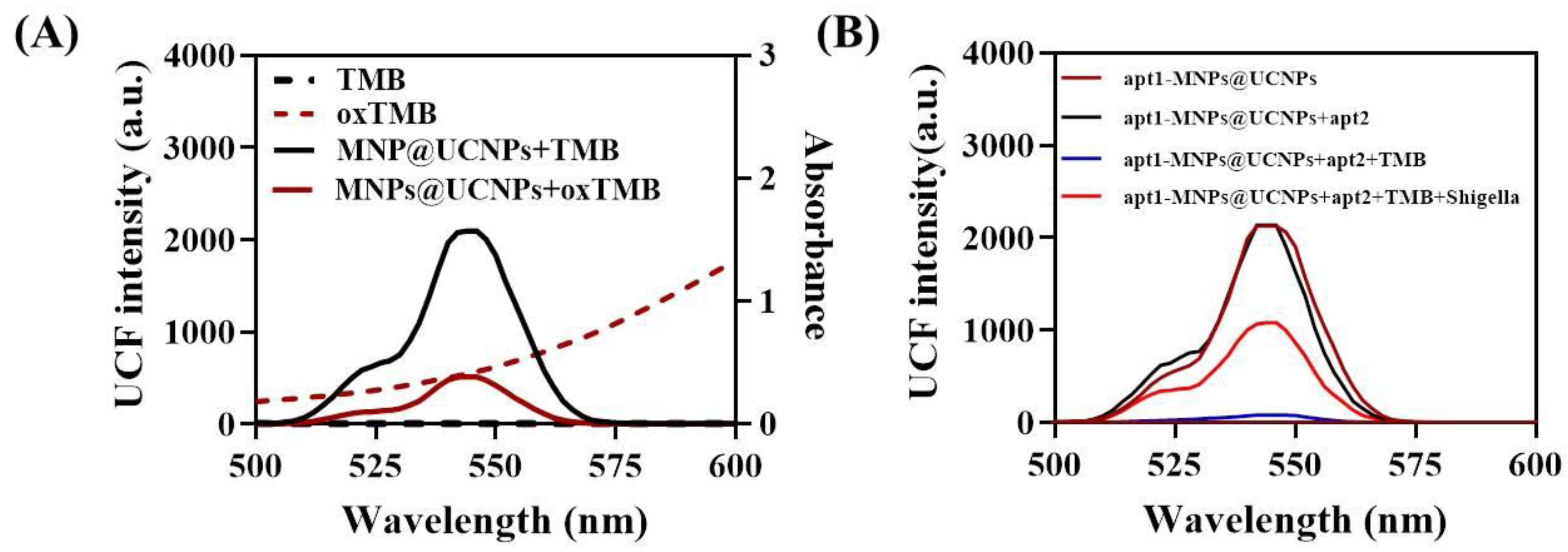 Chemosensors 11 00309 g002