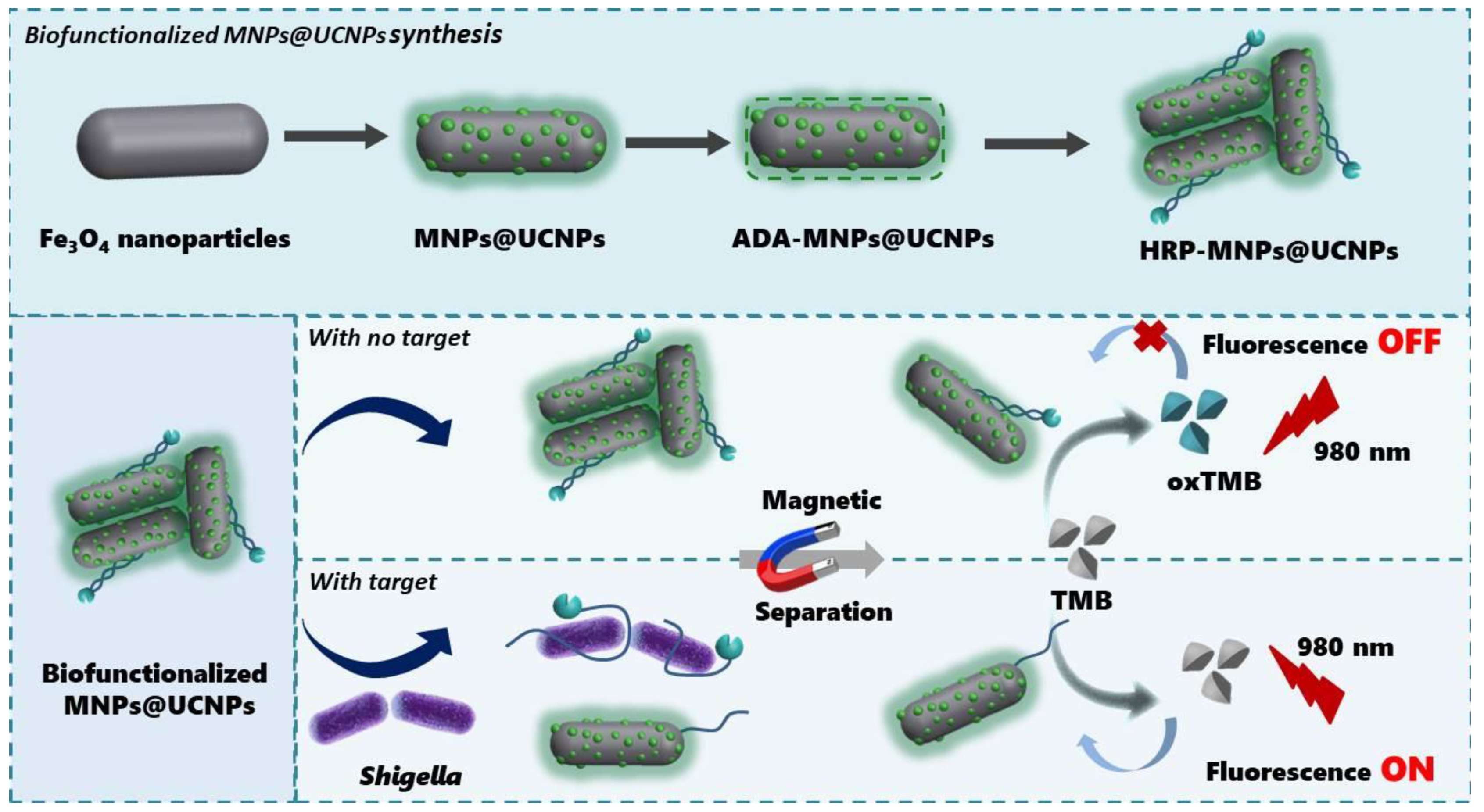 Chemosensors 11 00309 sch001