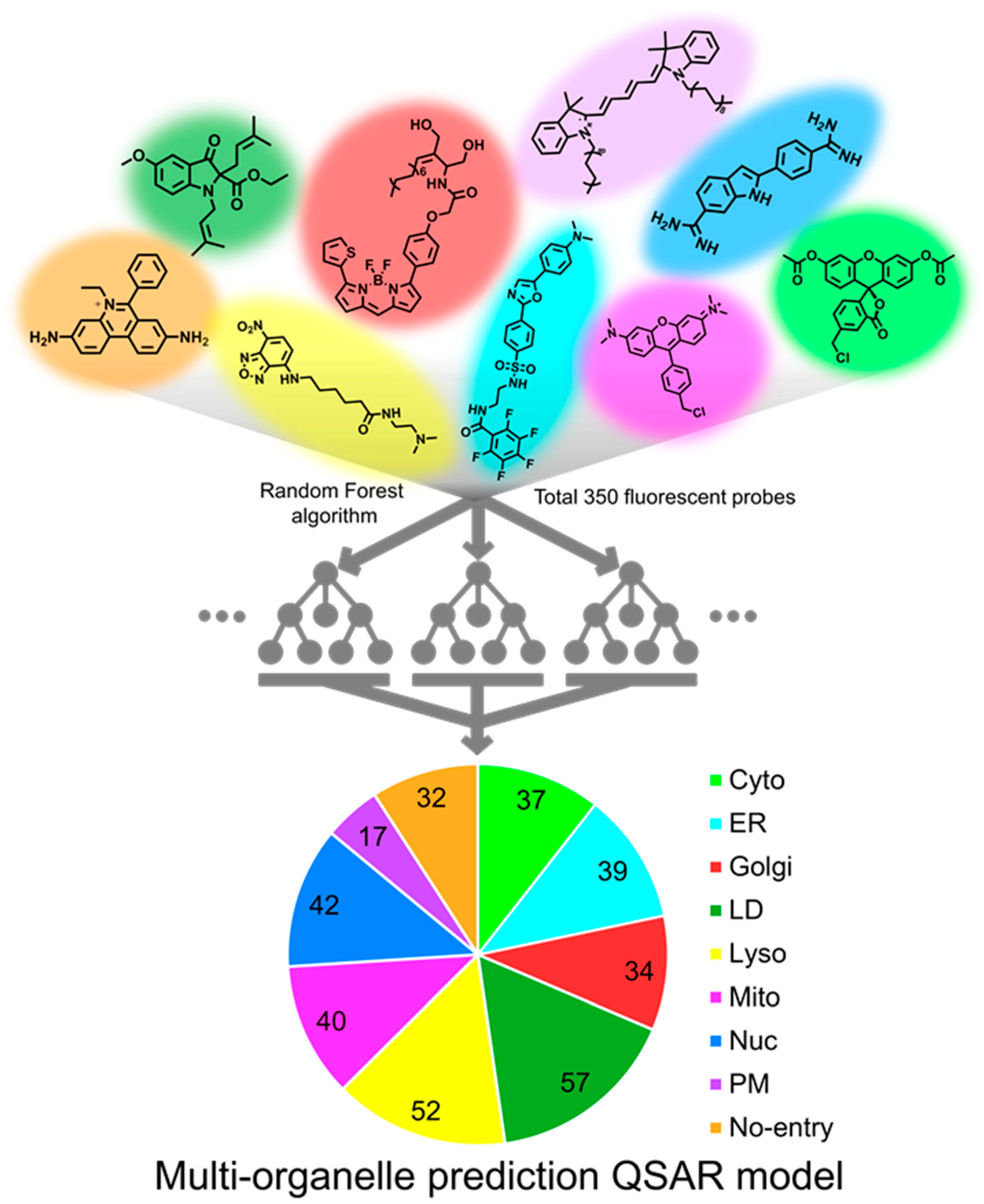 Chemosensors 11 00310 g001 Chemosensors 11 00310 g001
