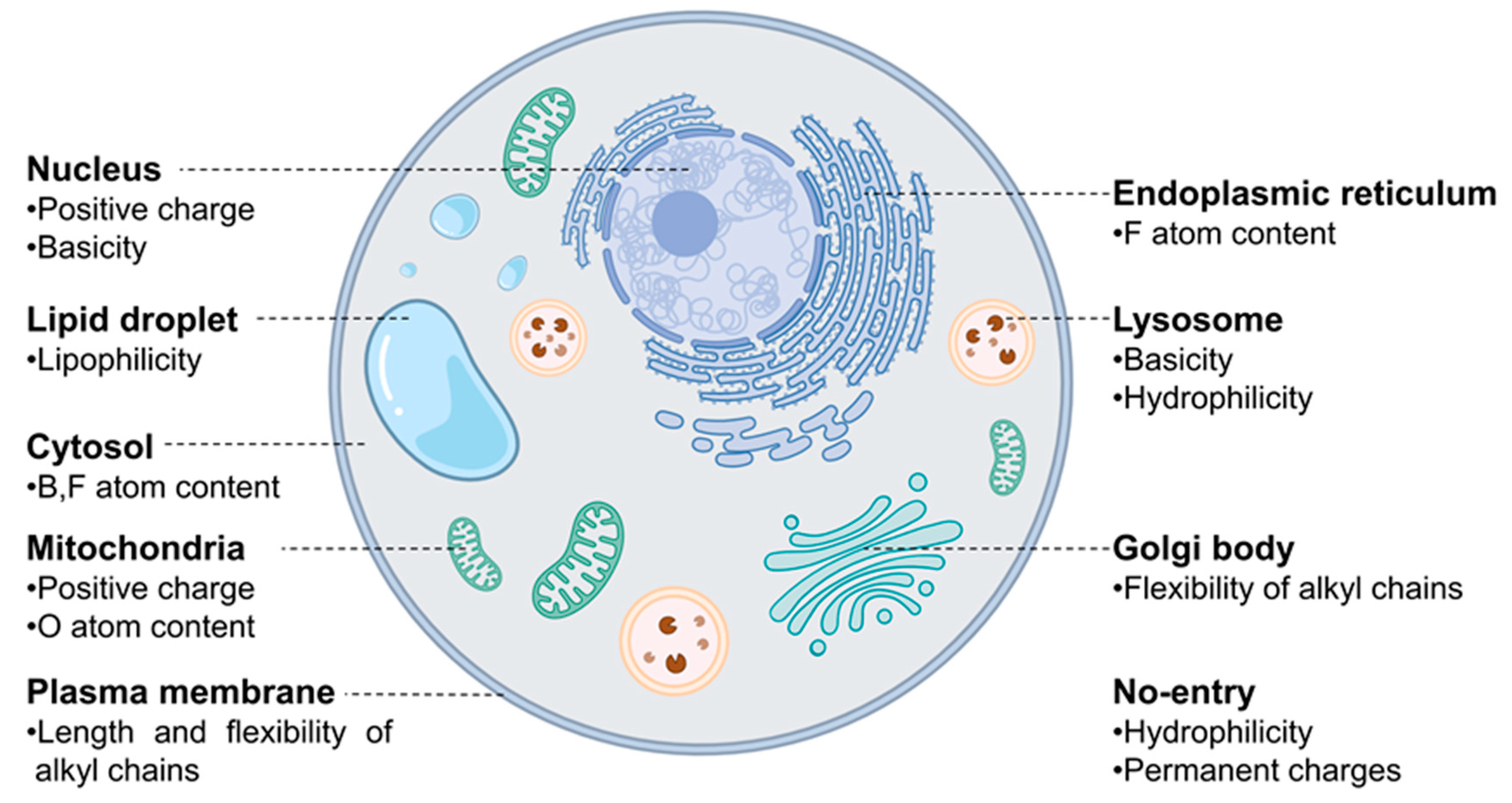 Chemosensors 11 00310 g002 Chemosensors 11 00310 g002