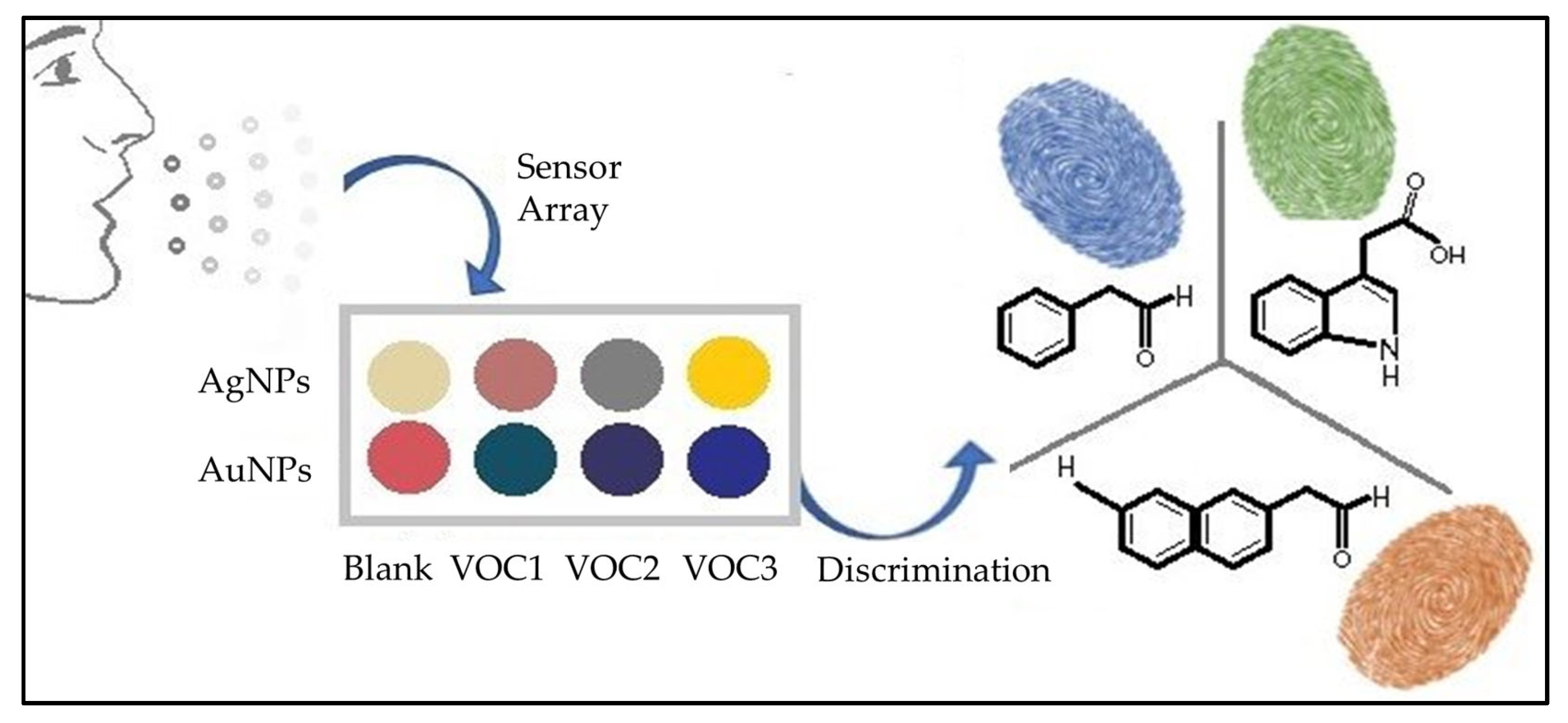 Chemosensors 11 00317 g002 Chemosensors 11 00317 g002