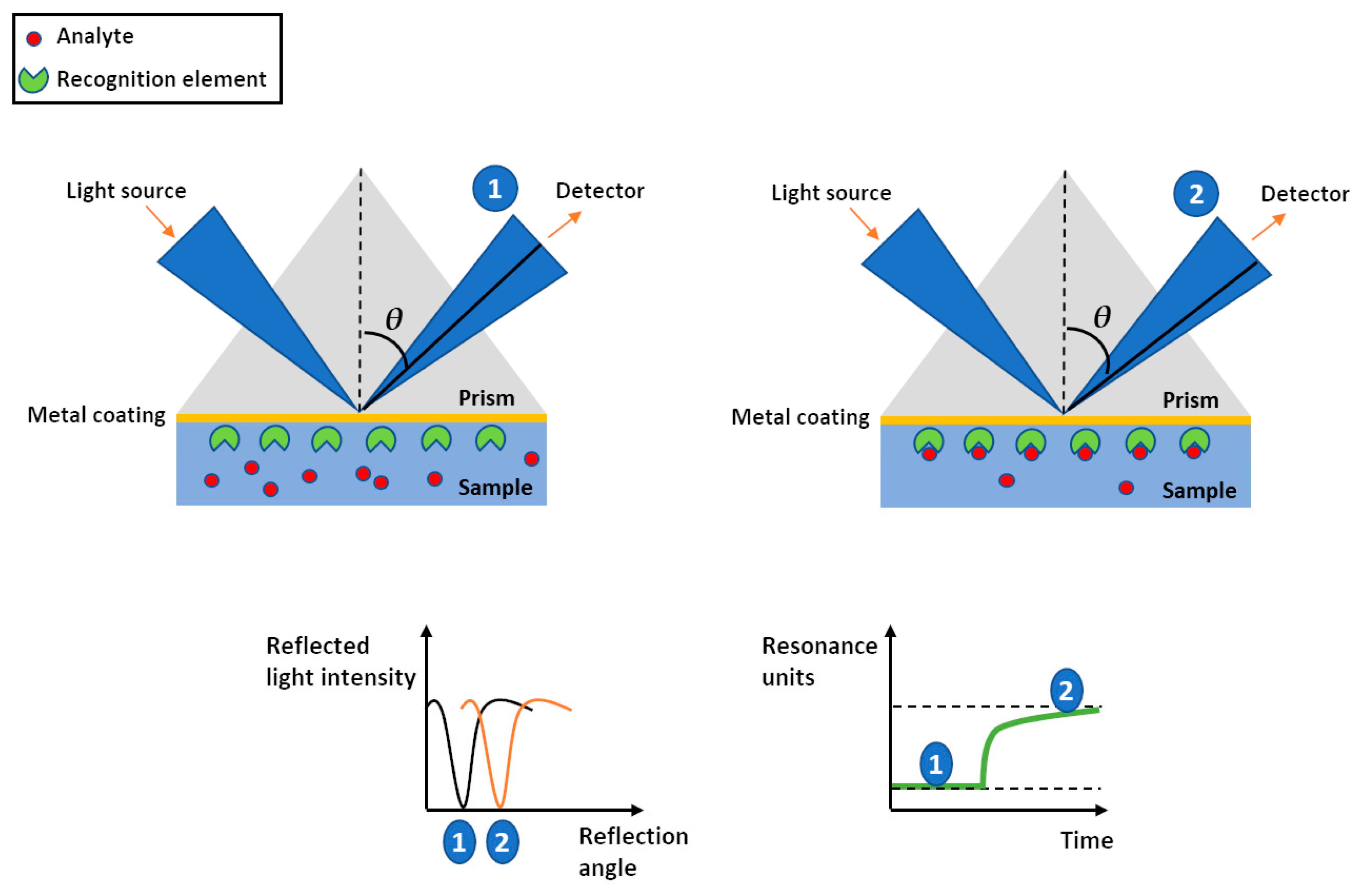 Chemosensors 11 00318 g002
