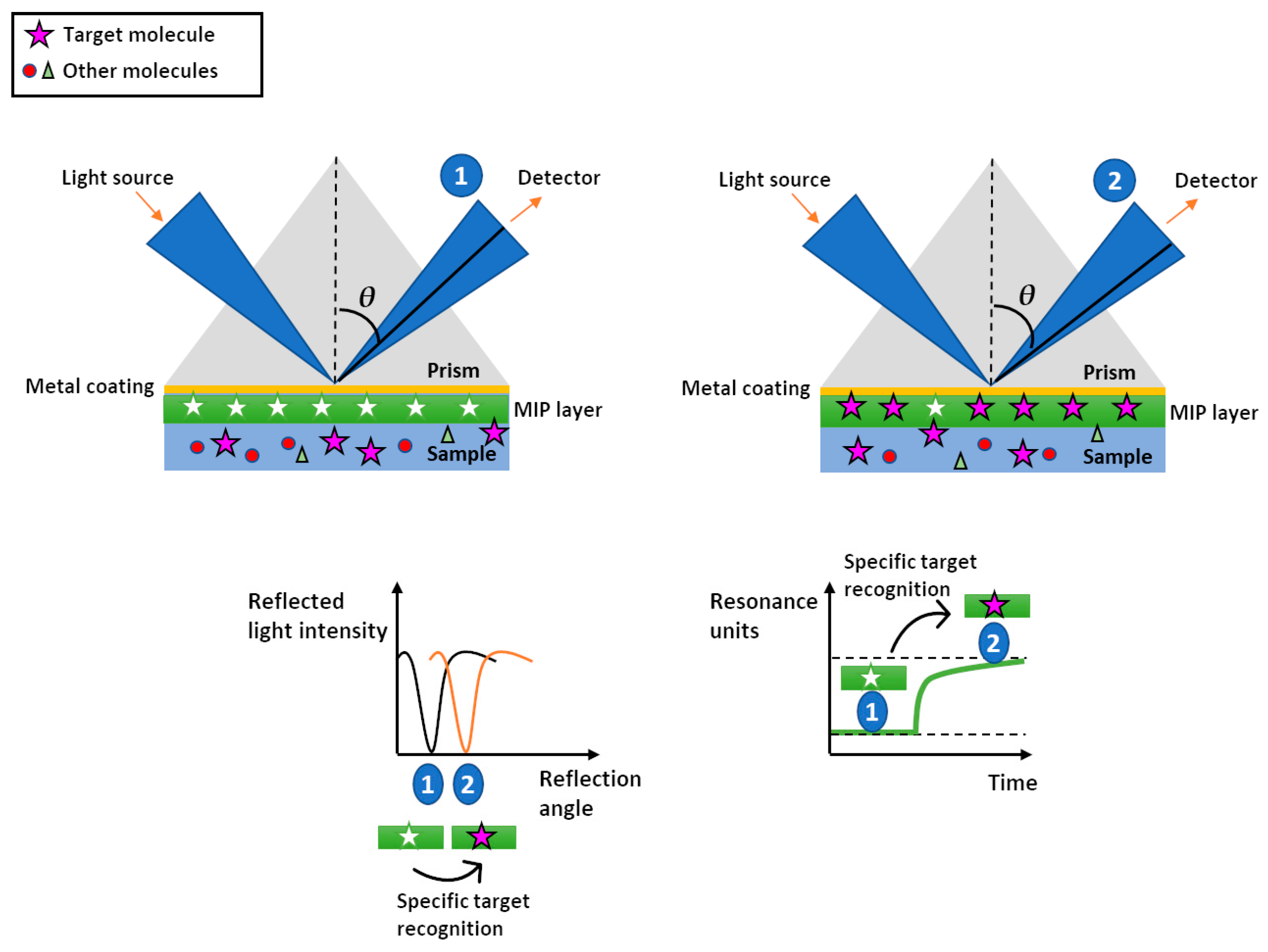 Chemosensors 11 00318 g003